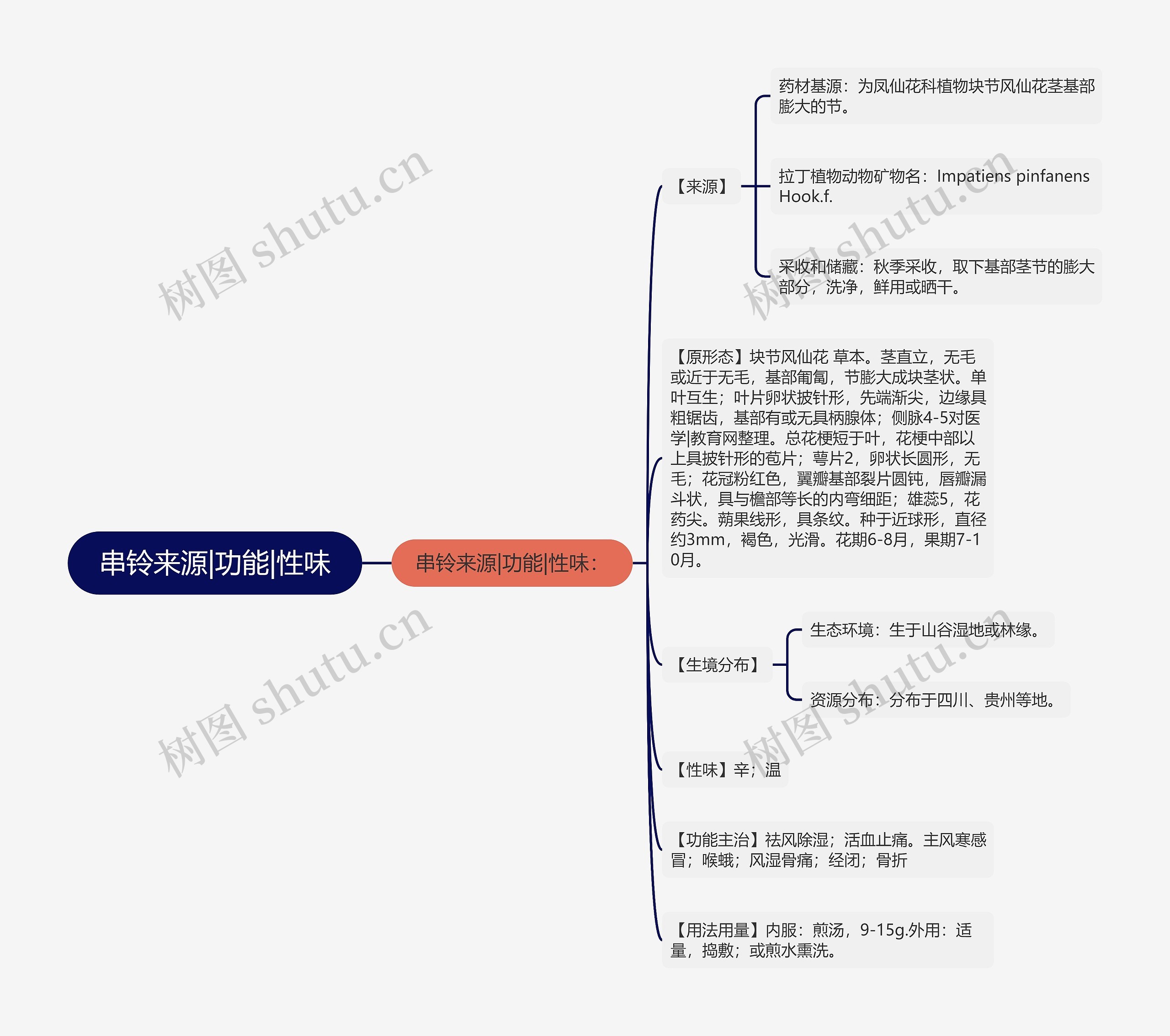 串铃来源|功能|性味思维导图