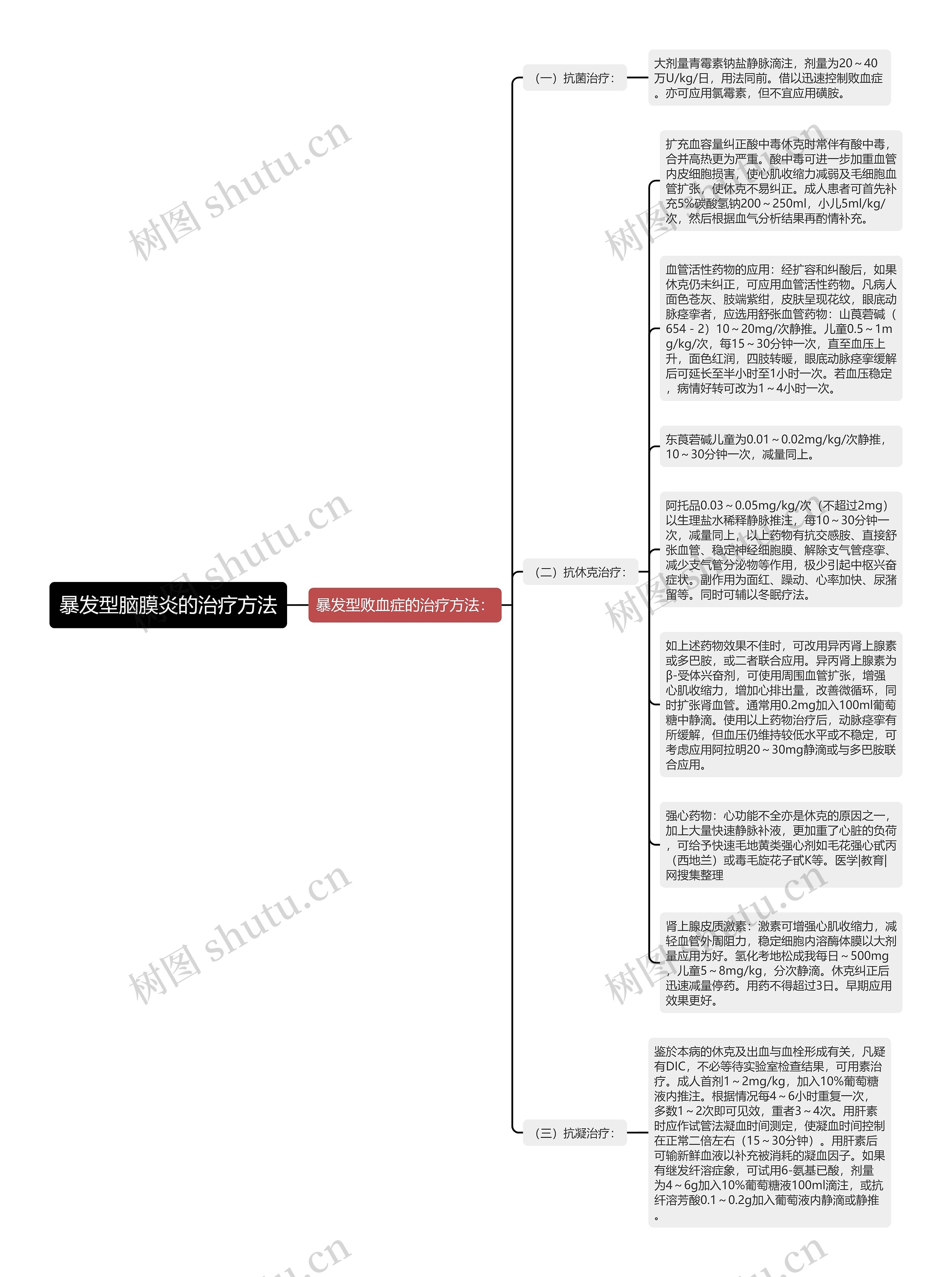 暴发型脑膜炎的治疗方法思维导图