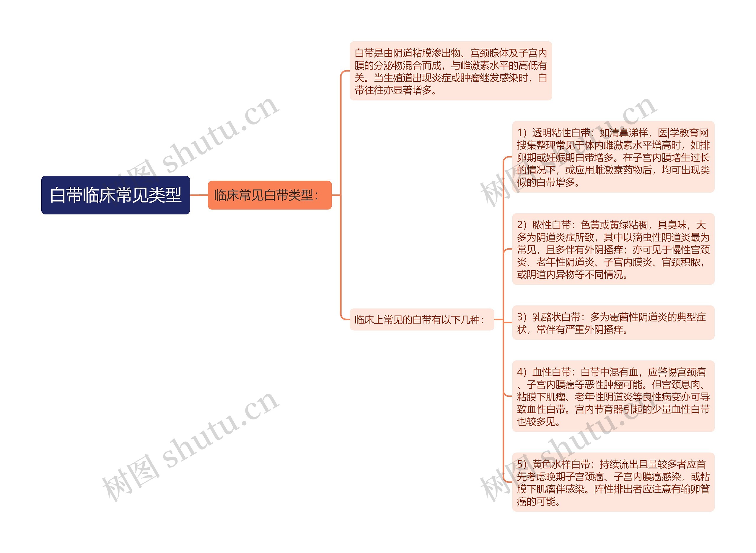 白带临床常见类型思维导图