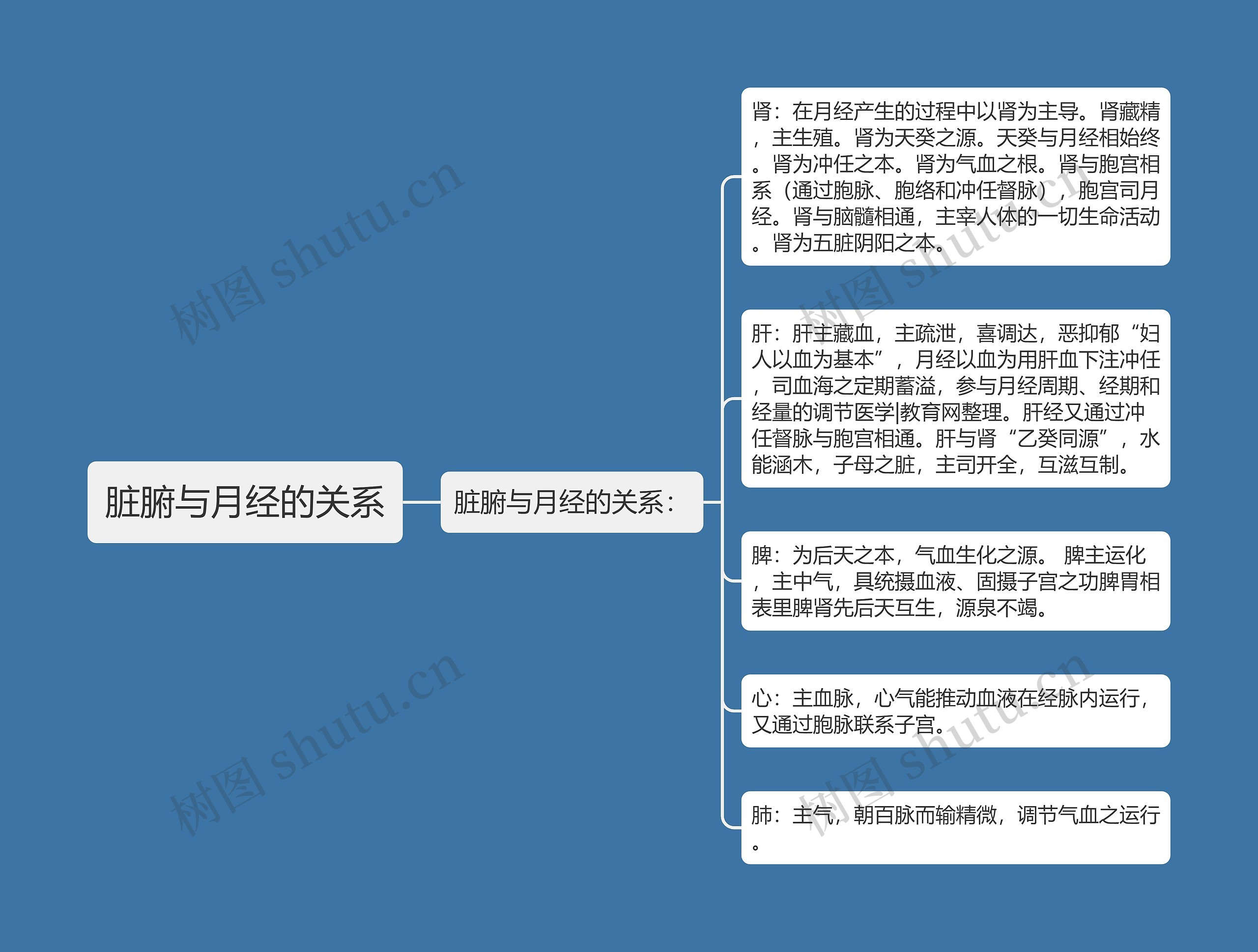 脏腑与月经的关系 脏腑与月经的关系