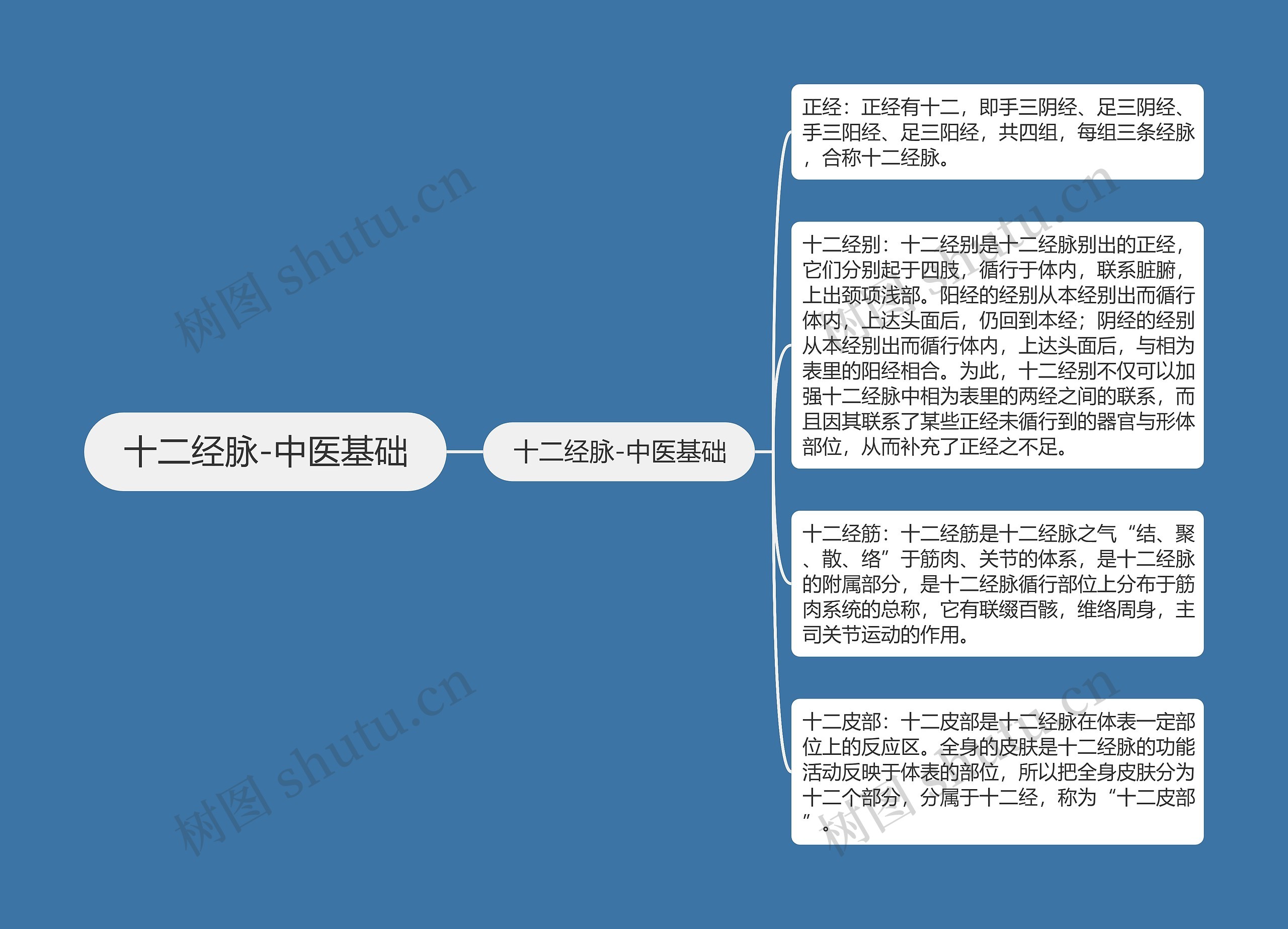 十二经脉-中医基础思维导图