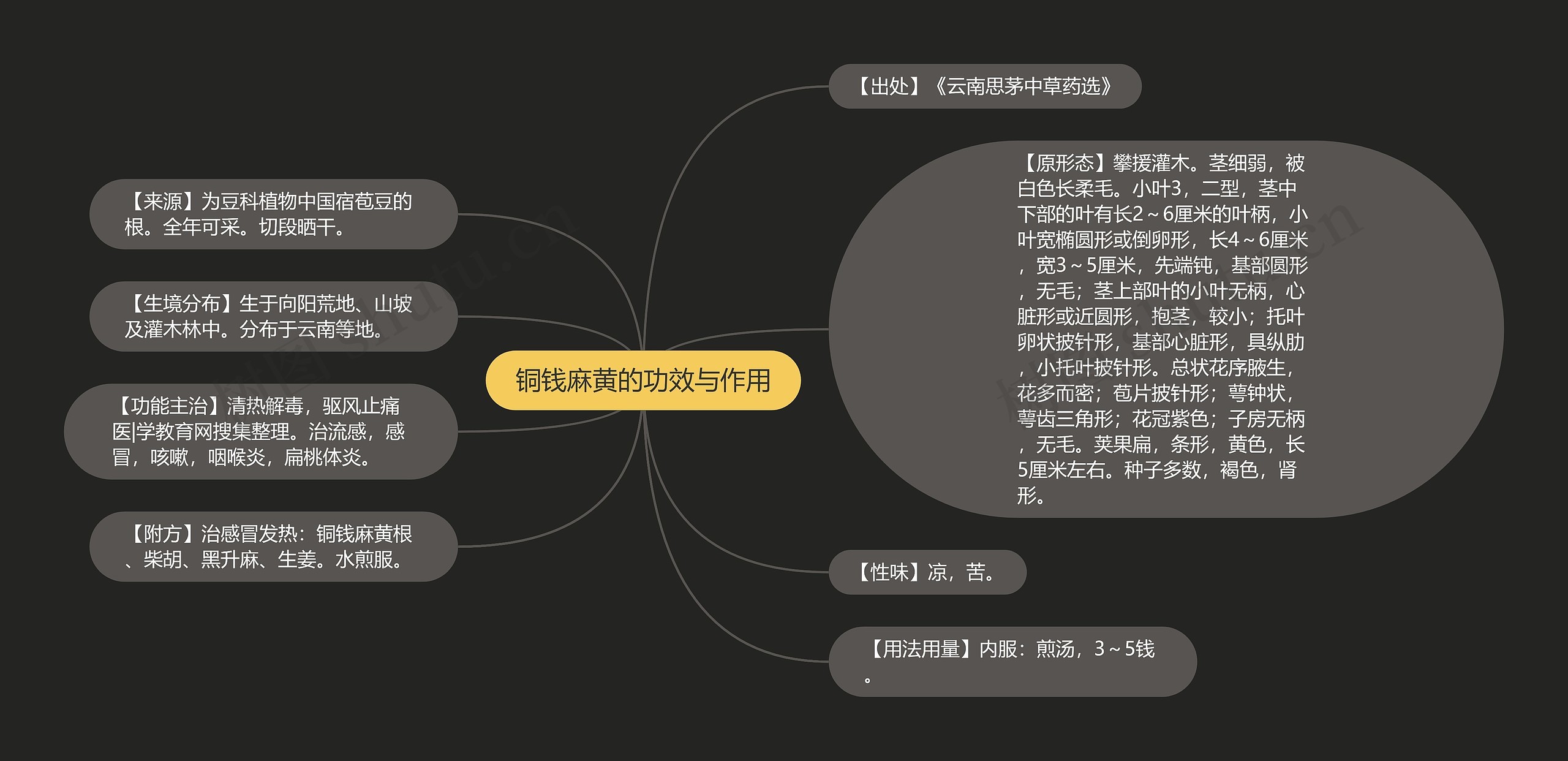 铜钱麻黄的功效与作用思维导图