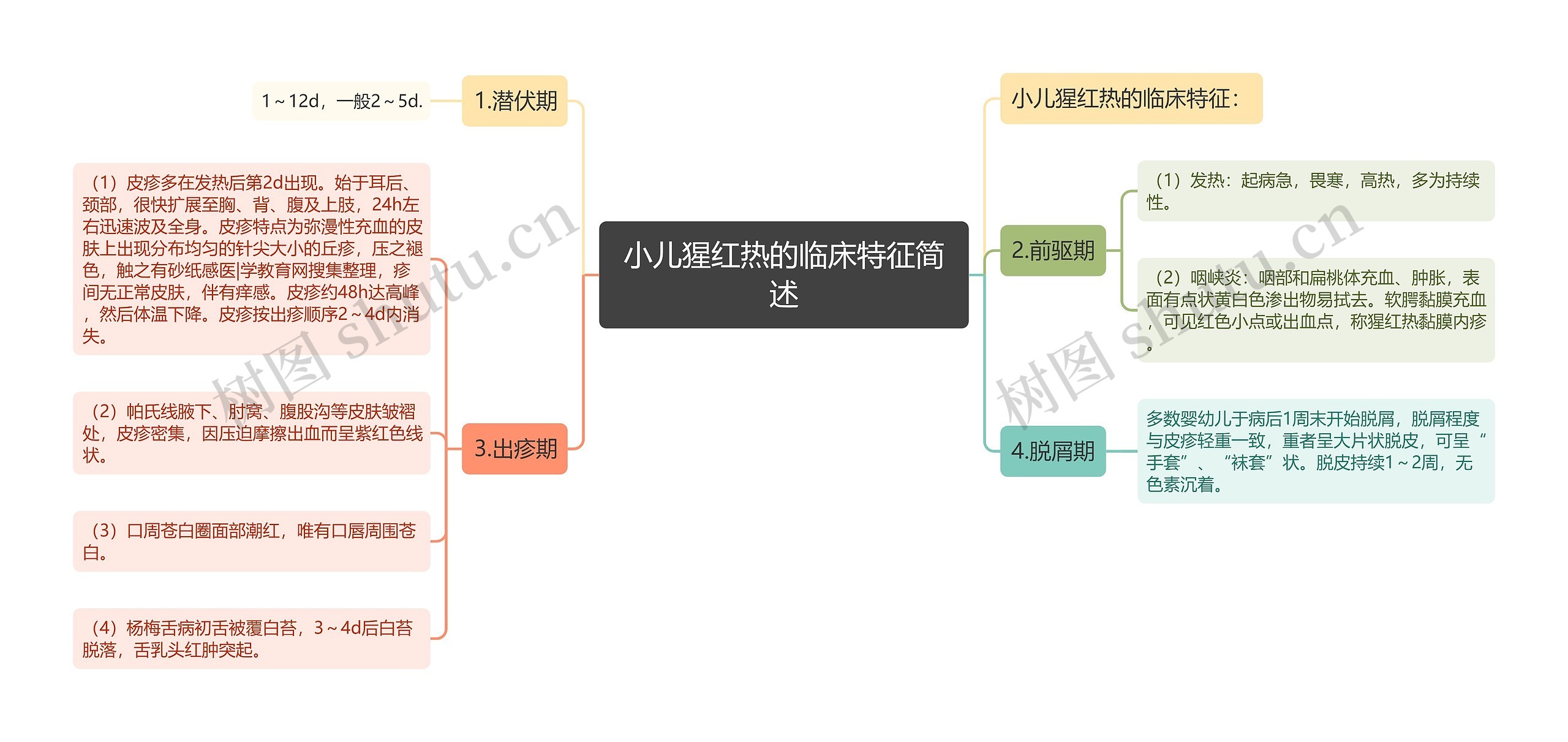 小儿猩红热的临床特征简述