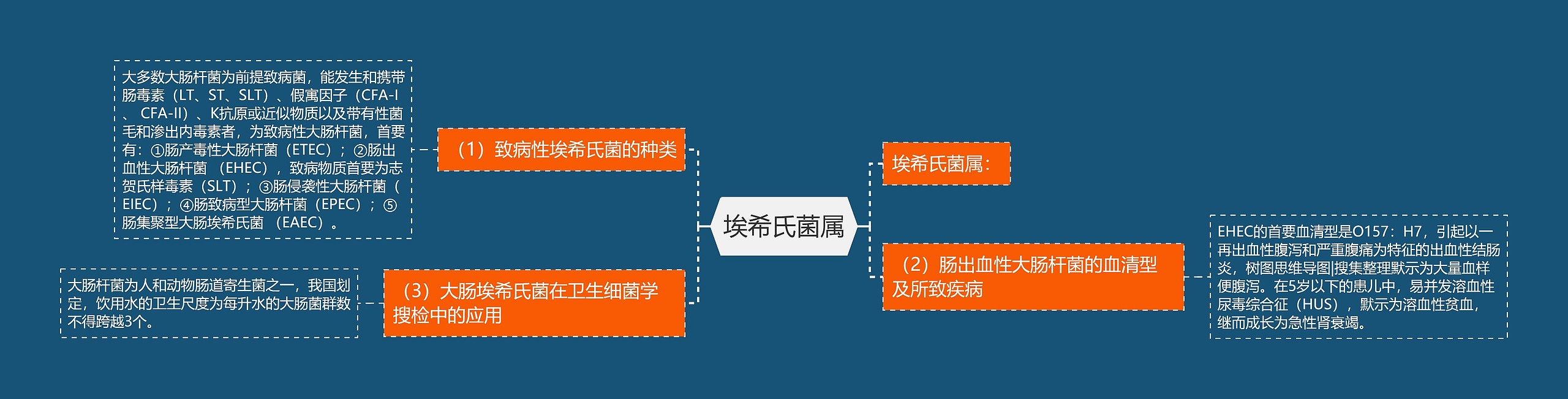 埃希氏菌属 埃希氏菌属