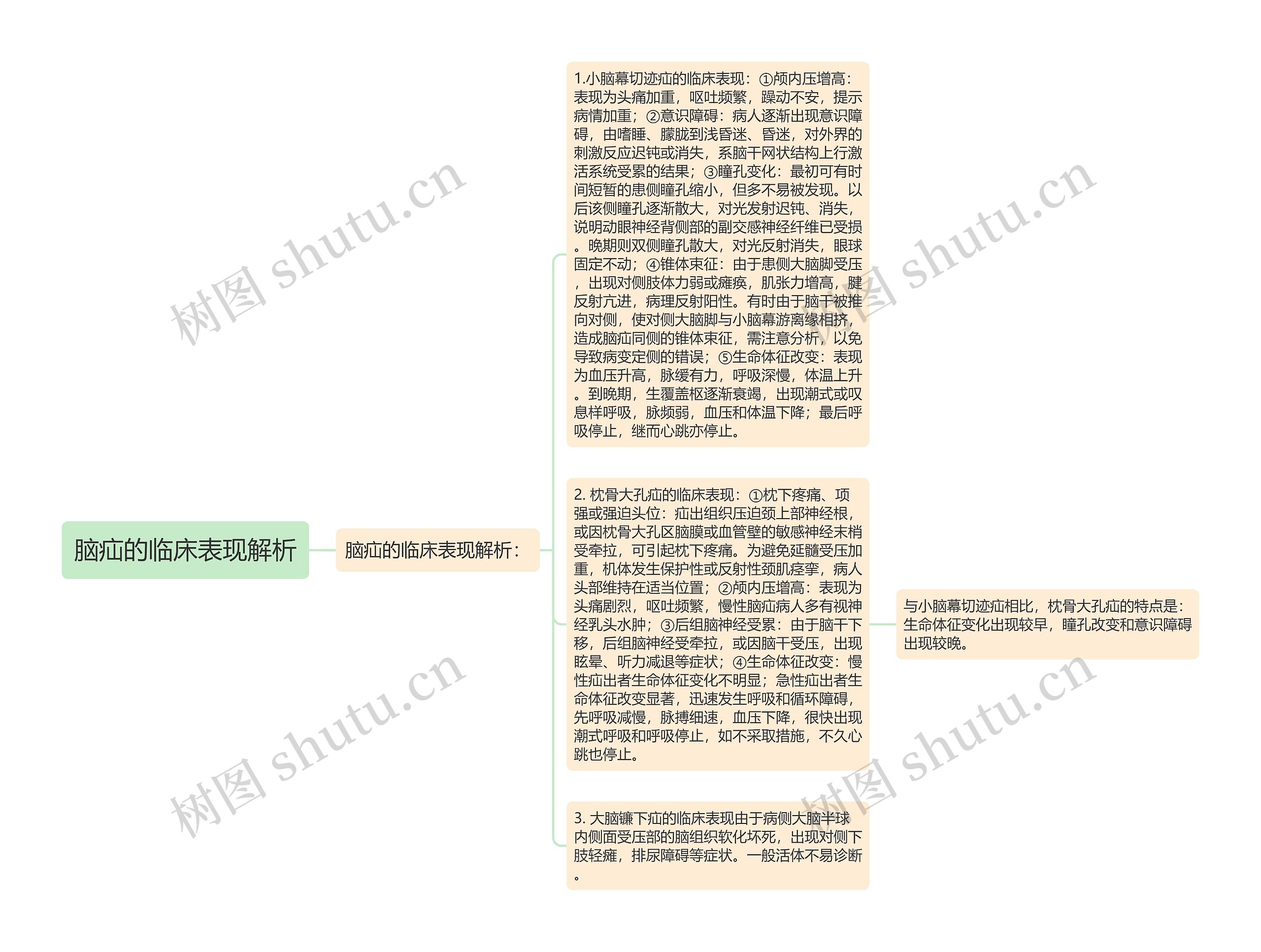 脑疝的临床表现解析思维导图