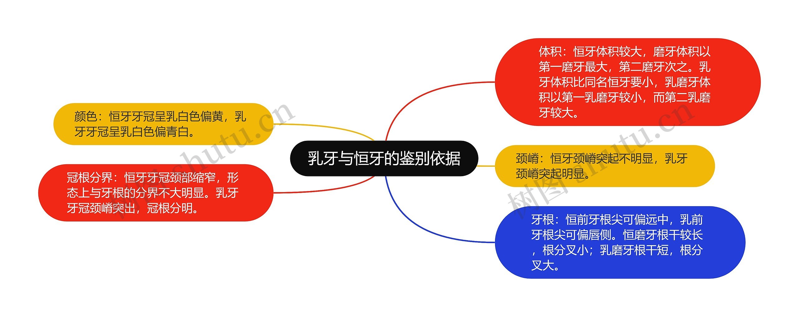 乳牙与恒牙的鉴别依据思维导图