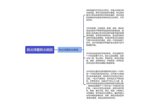 肺炎球菌肺炎病因