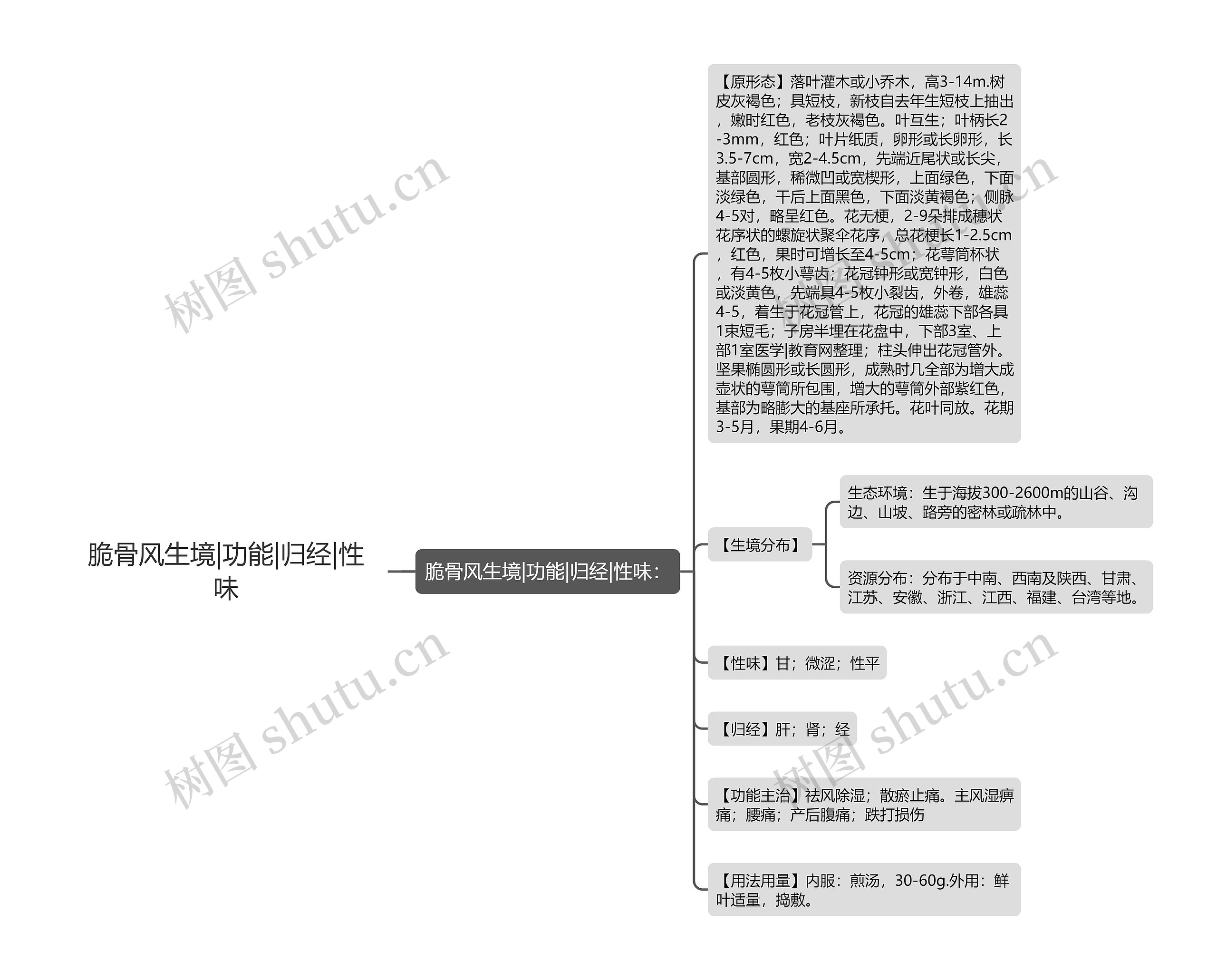 脆骨风生境|功能|归经|性味思维导图