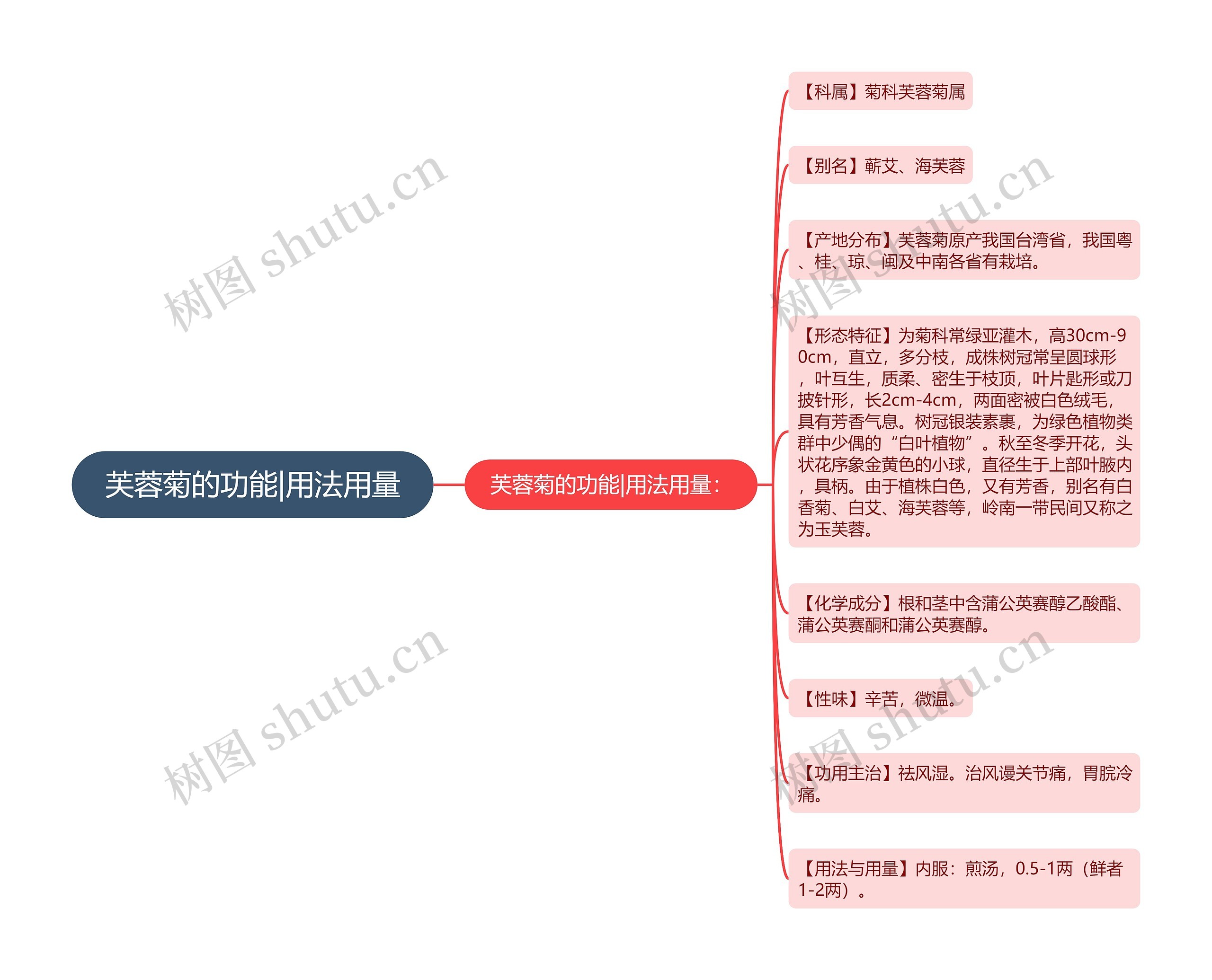 芙蓉菊的功能|用法用量思维导图