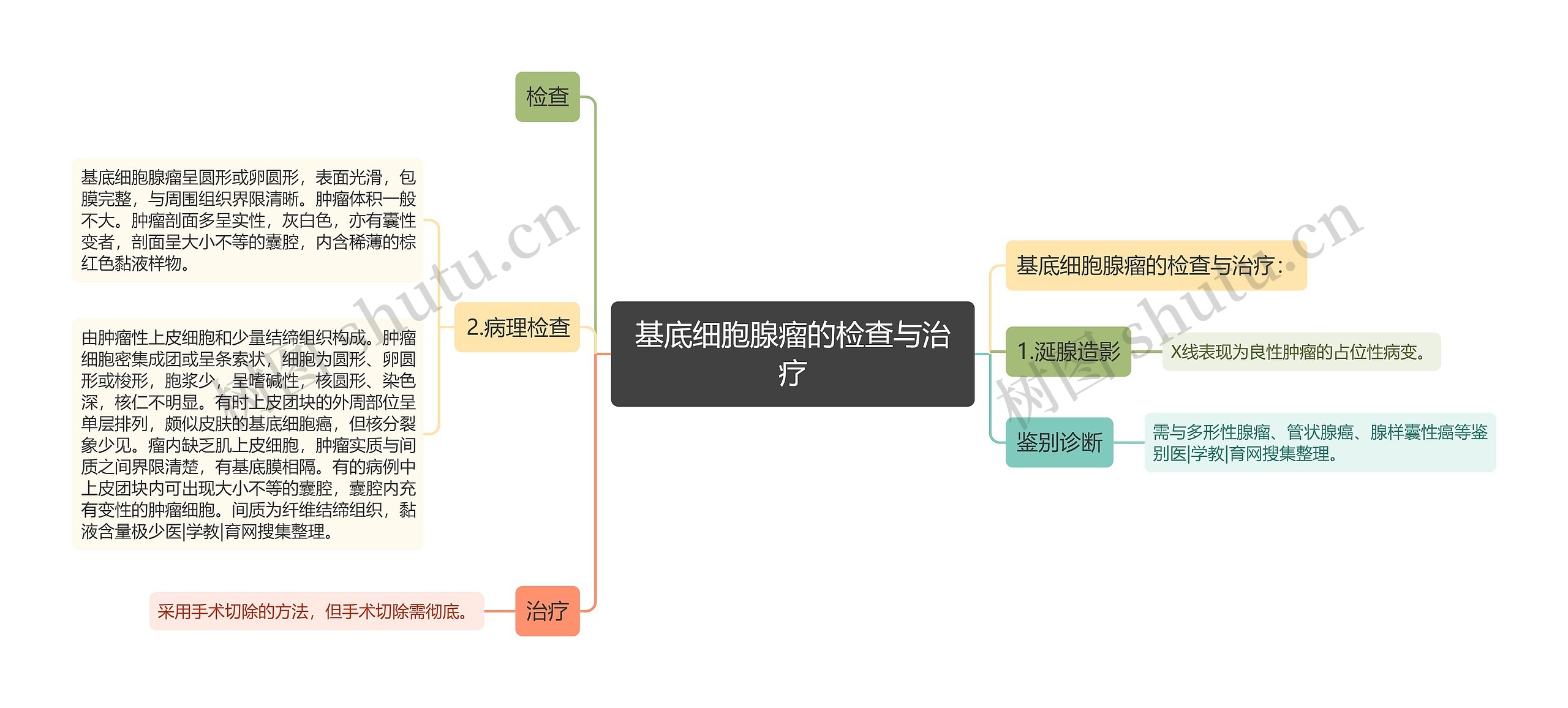 基底细胞腺瘤的检查与治疗思维导图