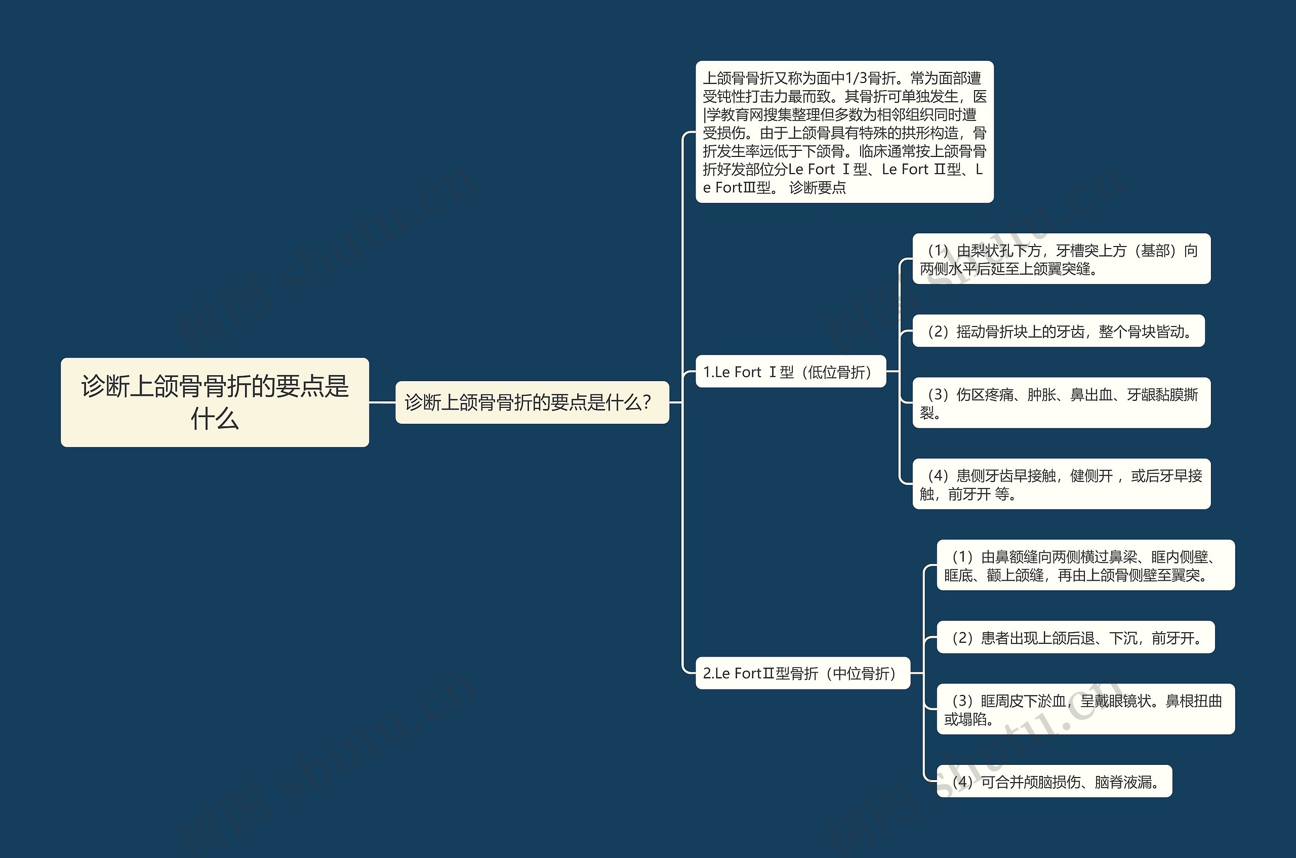 诊断上颌骨骨折的要点是什么思维导图