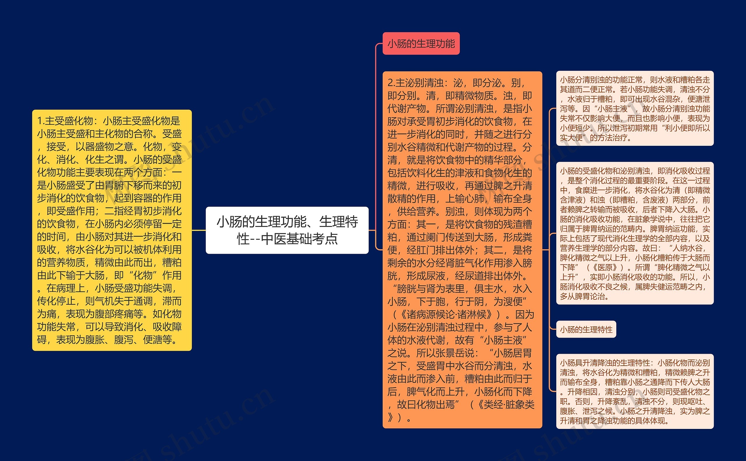 小肠的生理功能、生理特性--中医基础考点 小肠的生理功能、生理特性--中医基础考点
