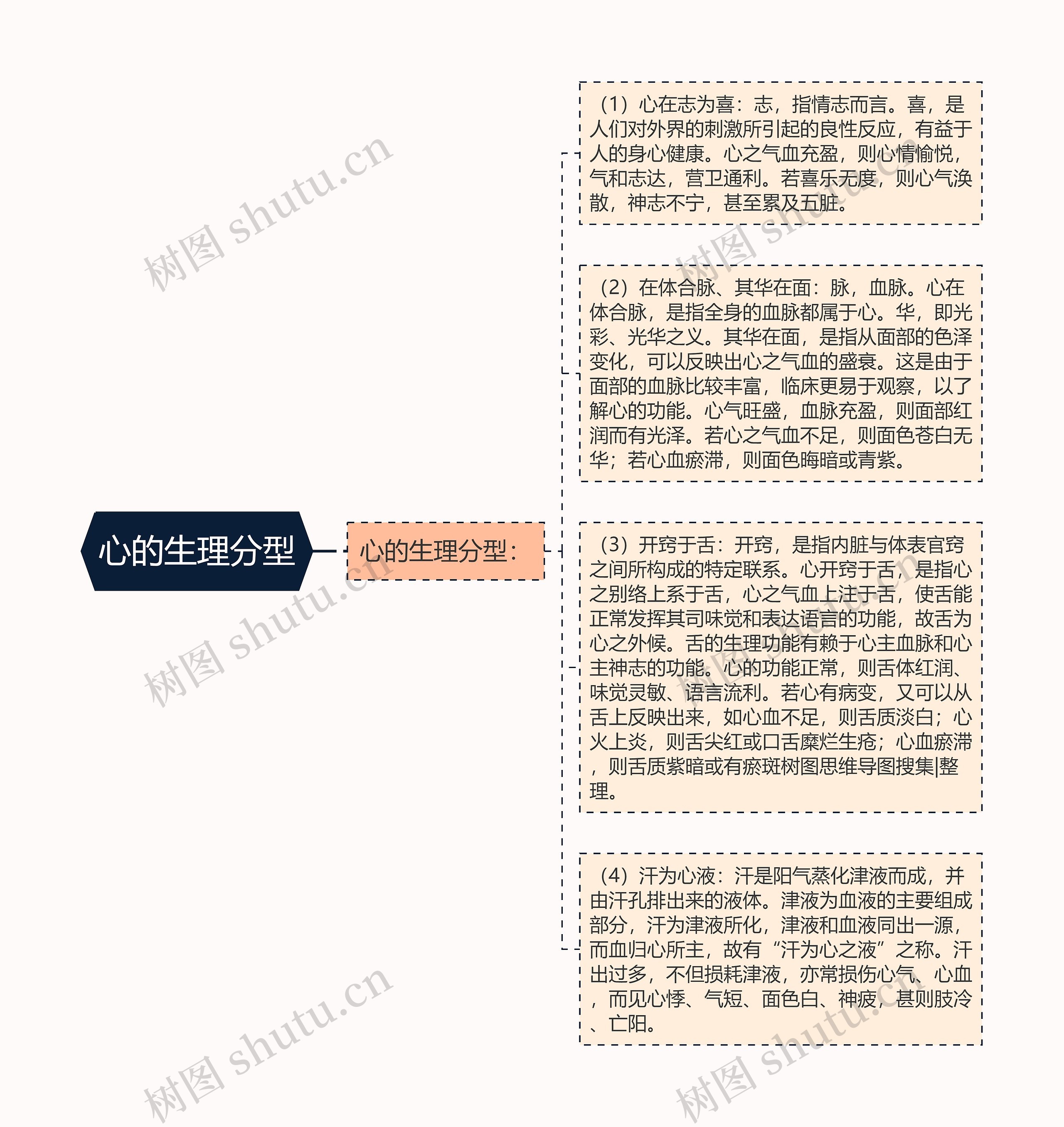 心的生理分型思维导图