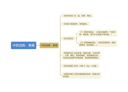 中药词典：草果