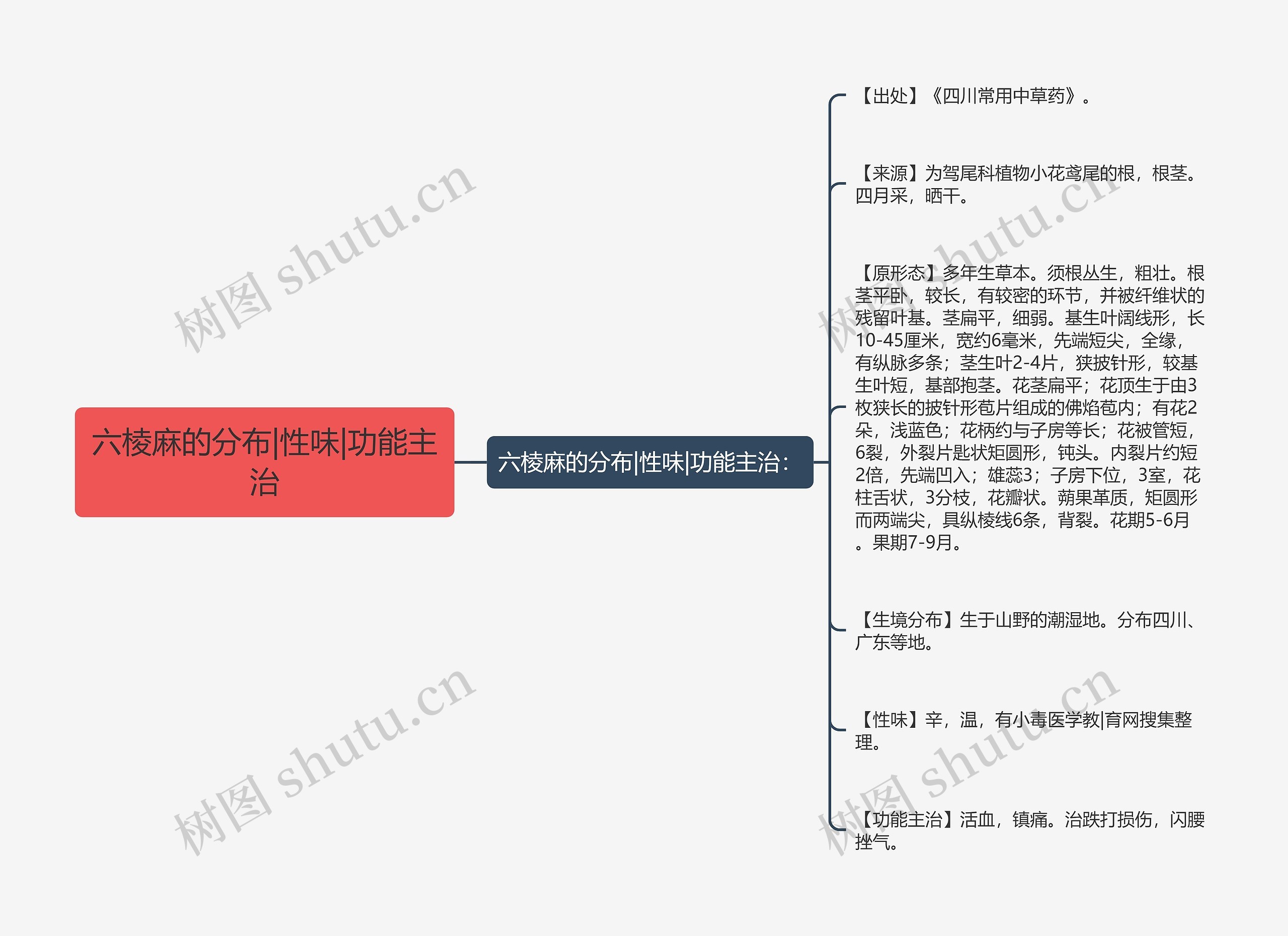 六棱麻的分布|性味|功能主治思维导图