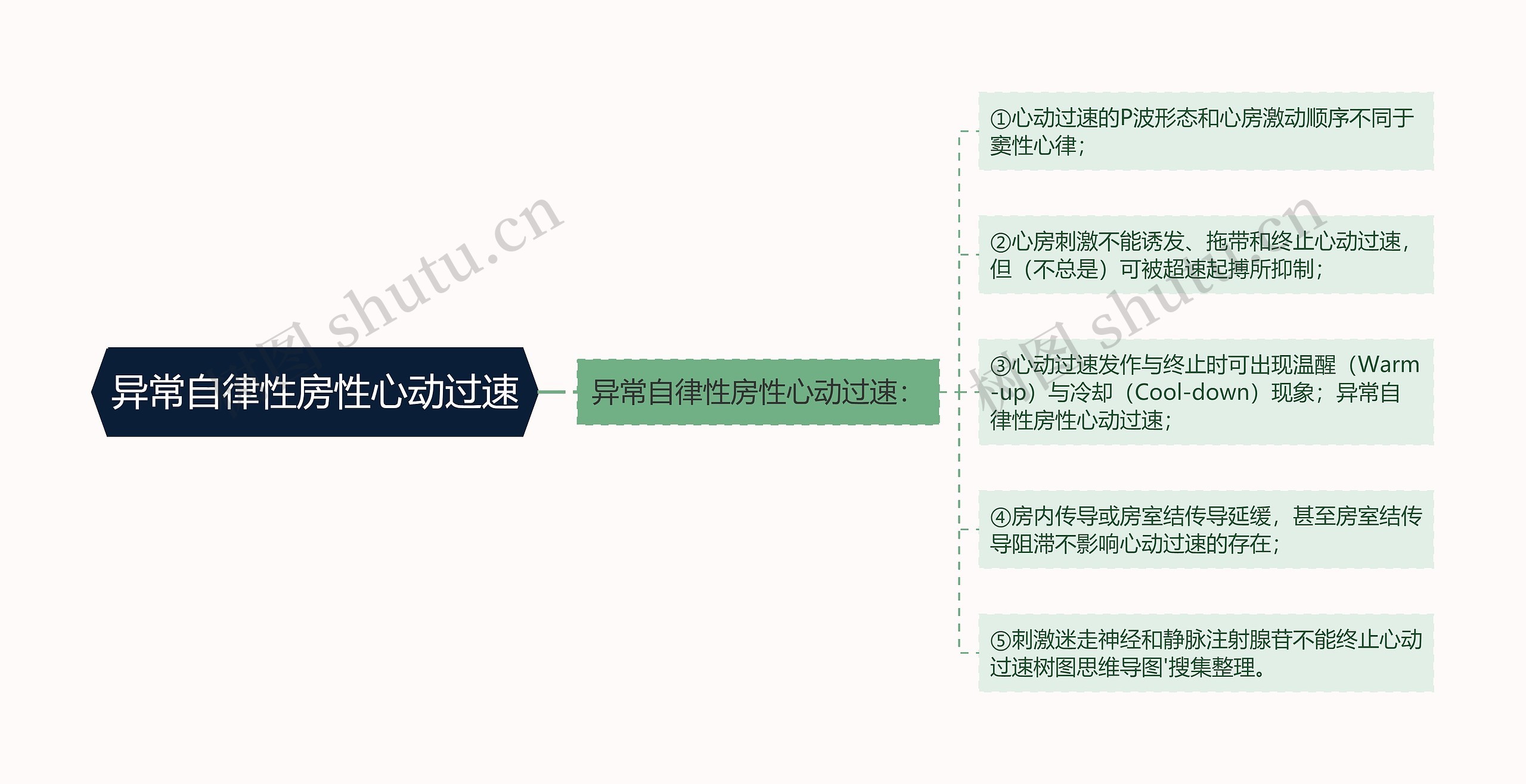 异常自律性房性心动过速思维导图