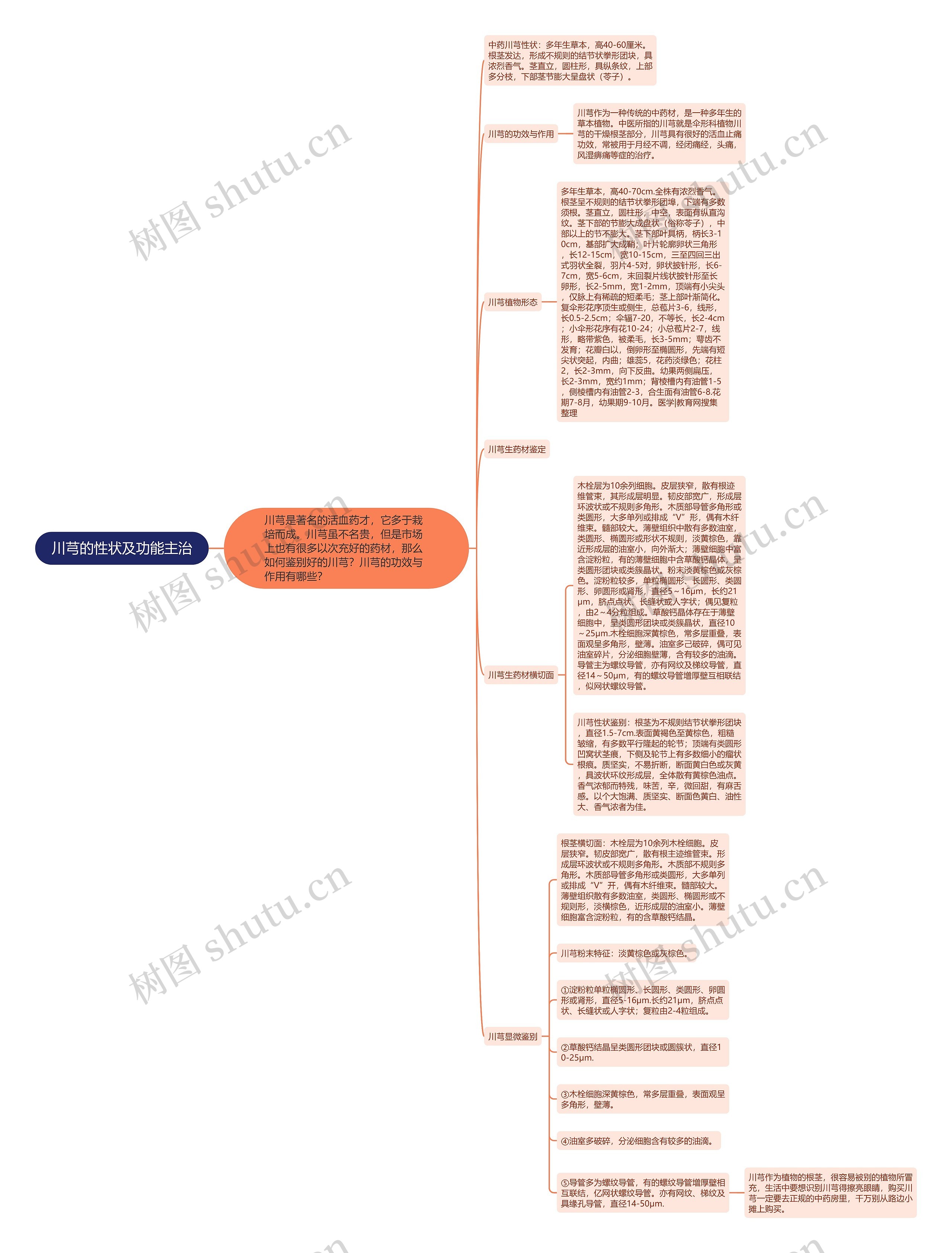 川芎的性状及功能主治思维导图