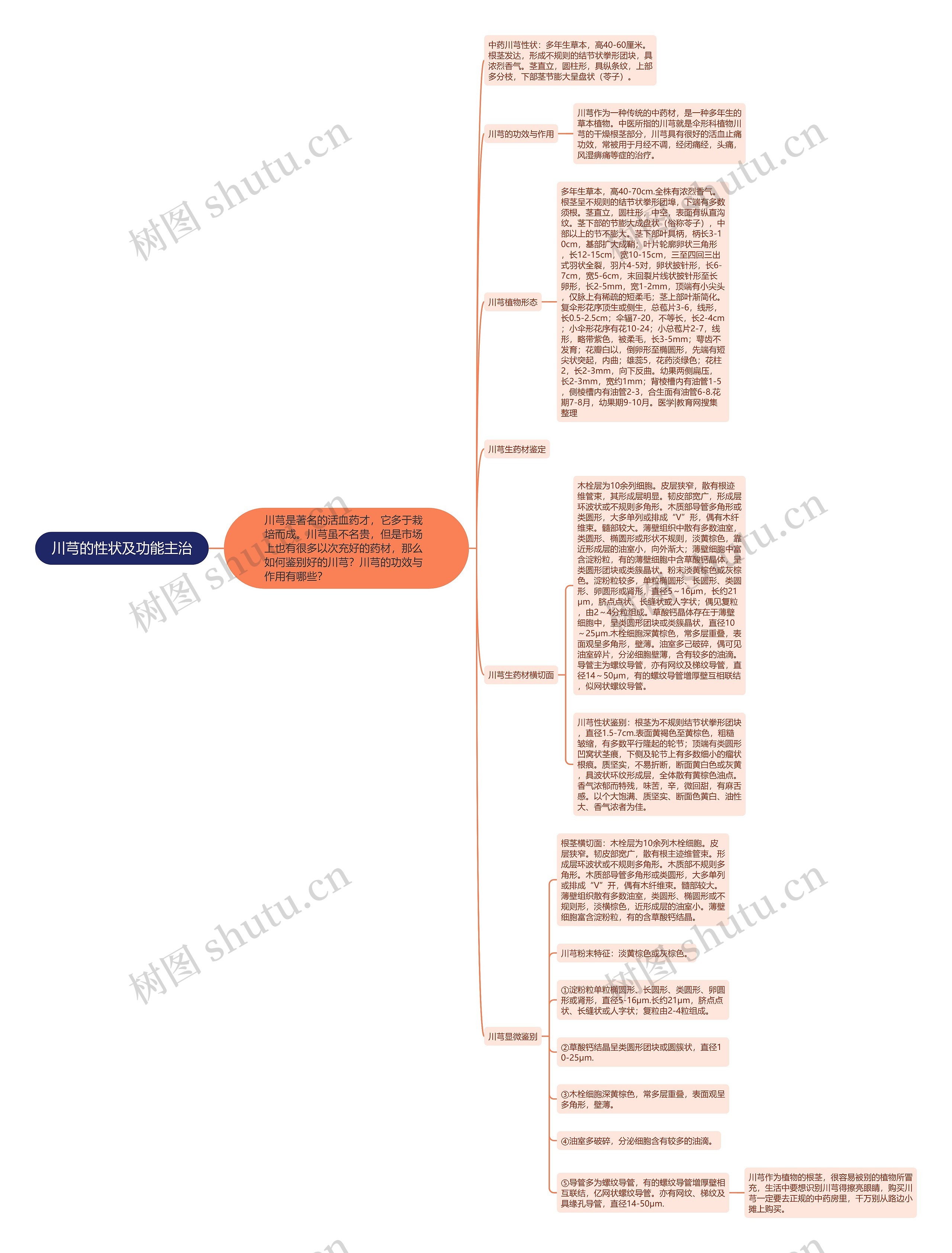 川芎的性状及功能主治 川芎的性状及功能主治