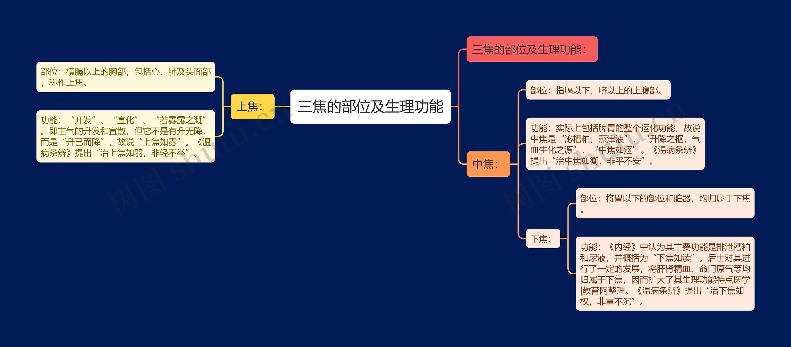 三焦的部位及生理功能思维导图