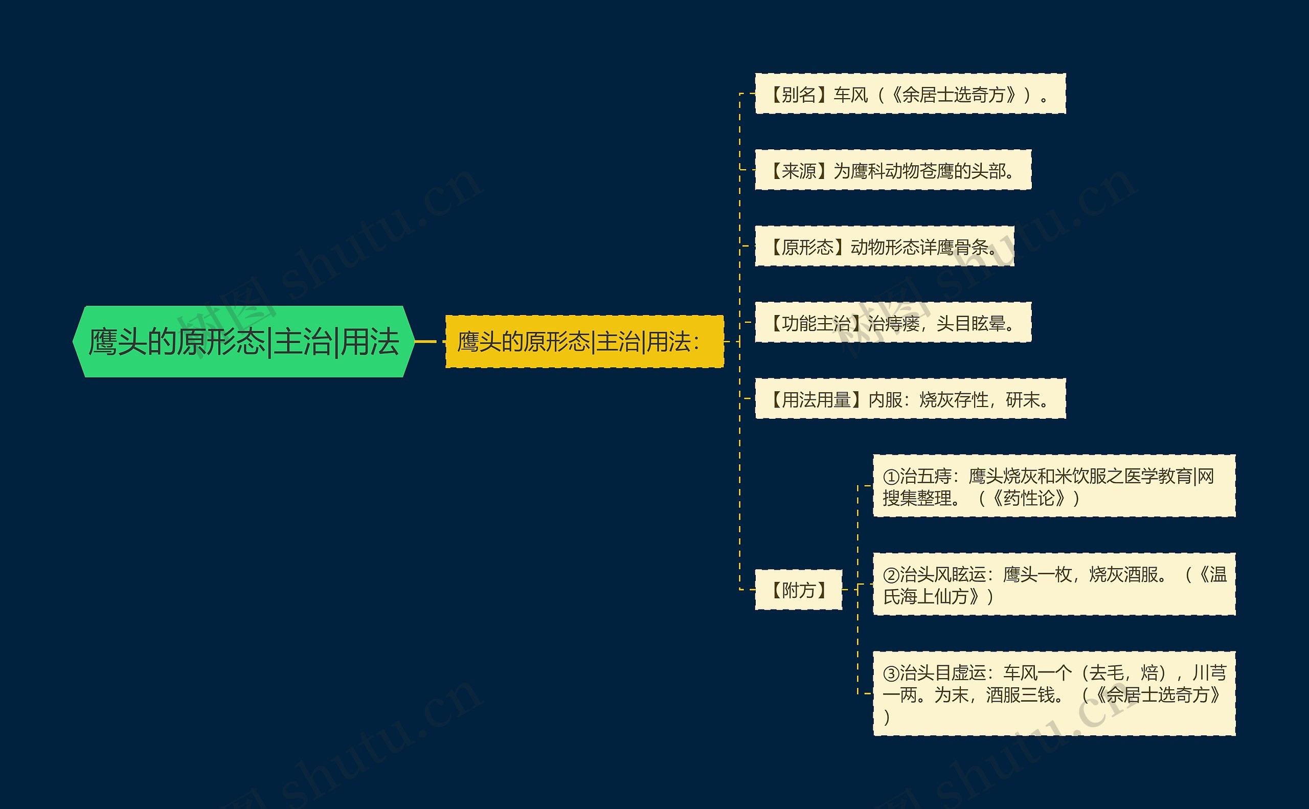 鹰头的原形态|主治|用法思维导图