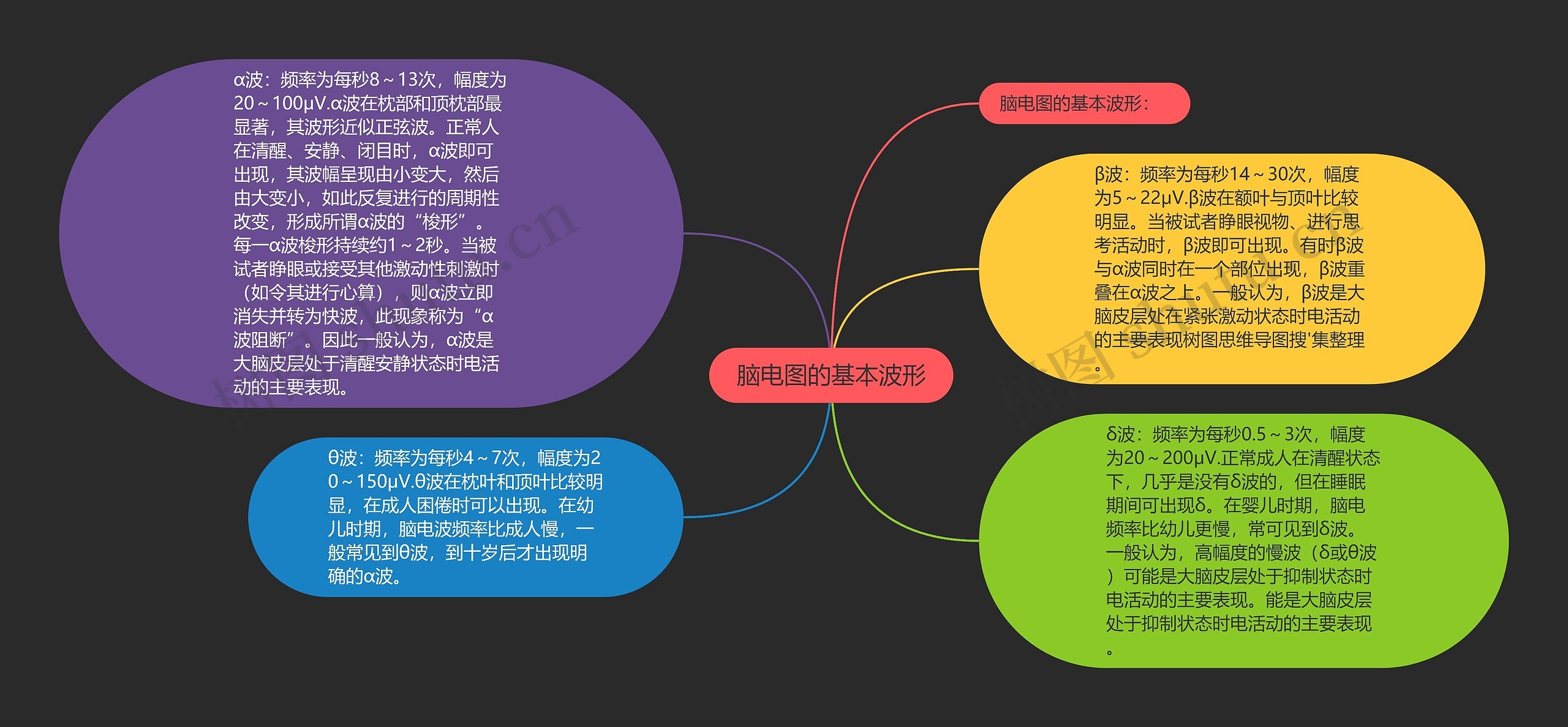 脑电图的基本波形思维导图