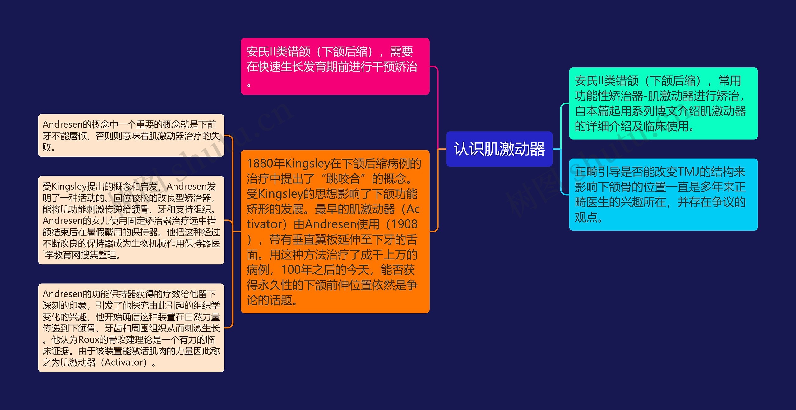 认识肌激动器思维导图