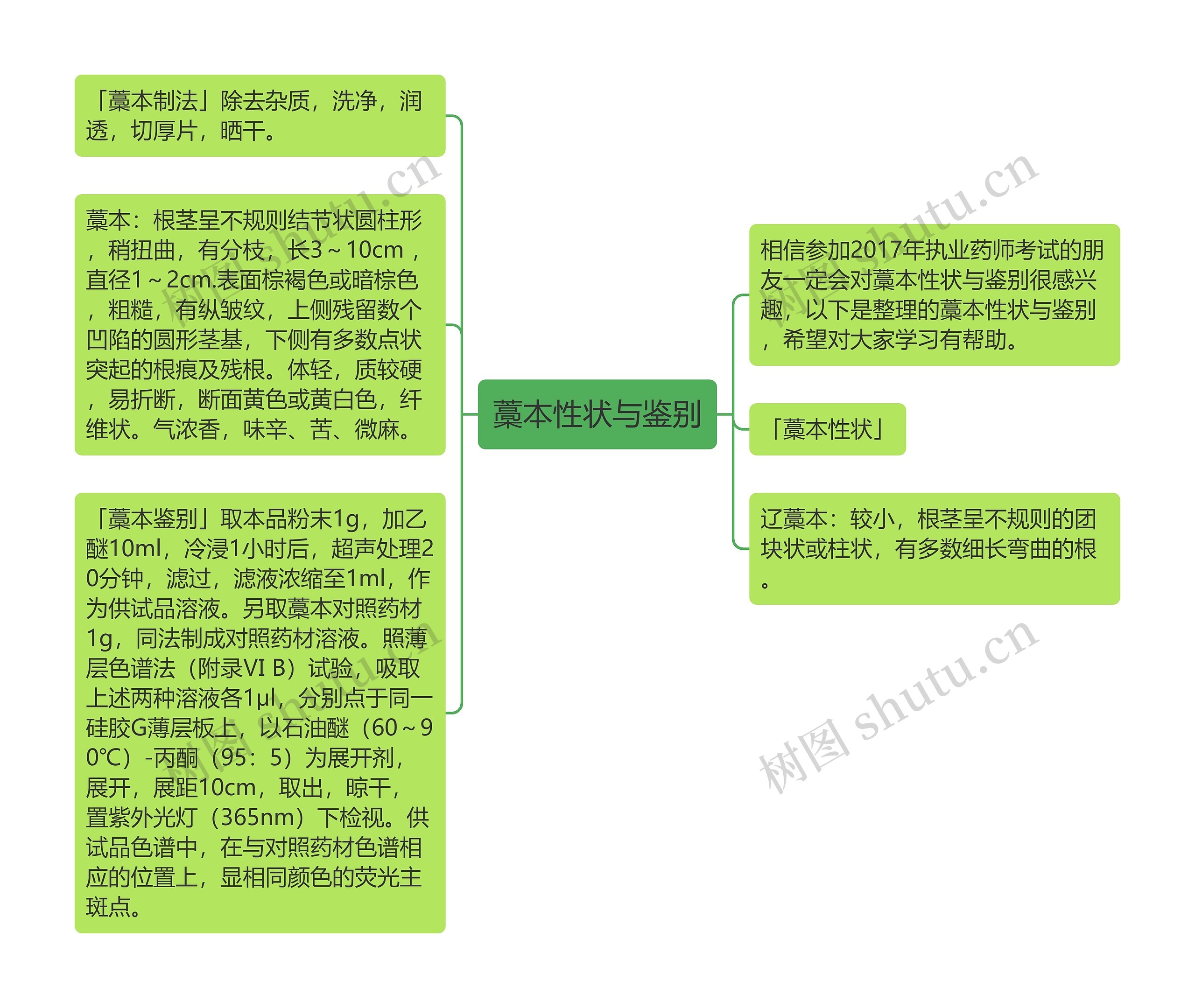 藁本性状与鉴别思维导图