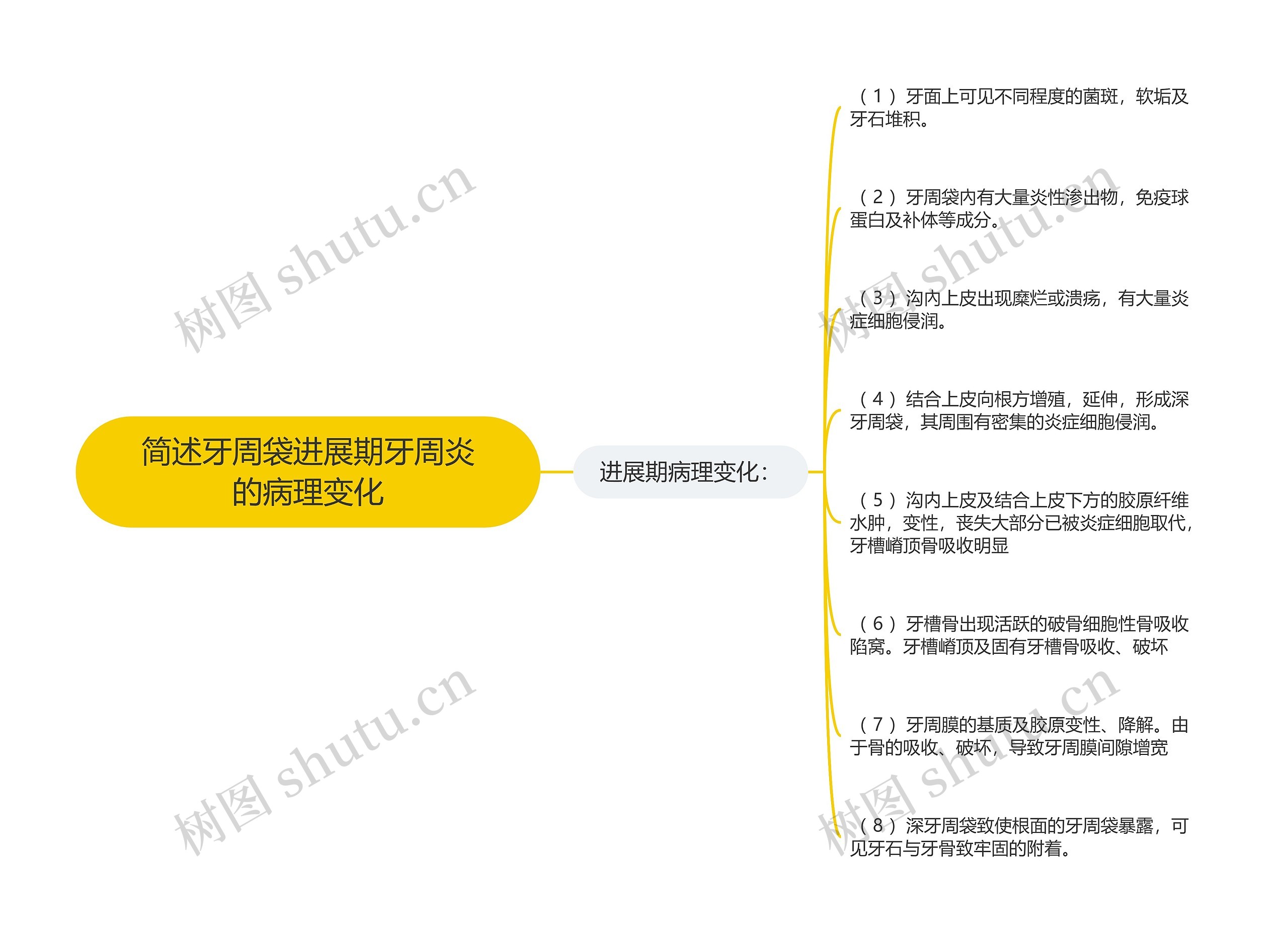 简述牙周袋进展期牙周炎的病理变化思维导图