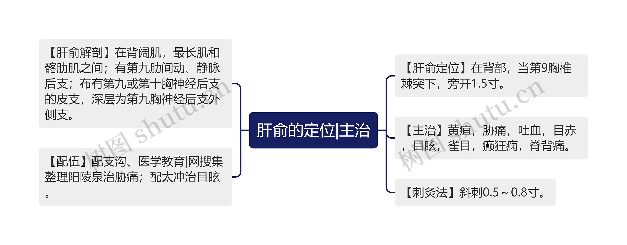 肝俞的定位|主治思维导图