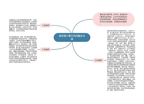 急性肾小管坏死的临床过程