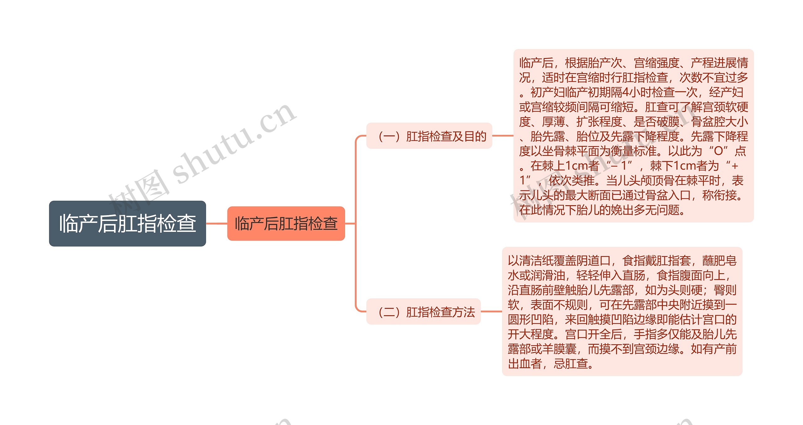 临产后肛指检查