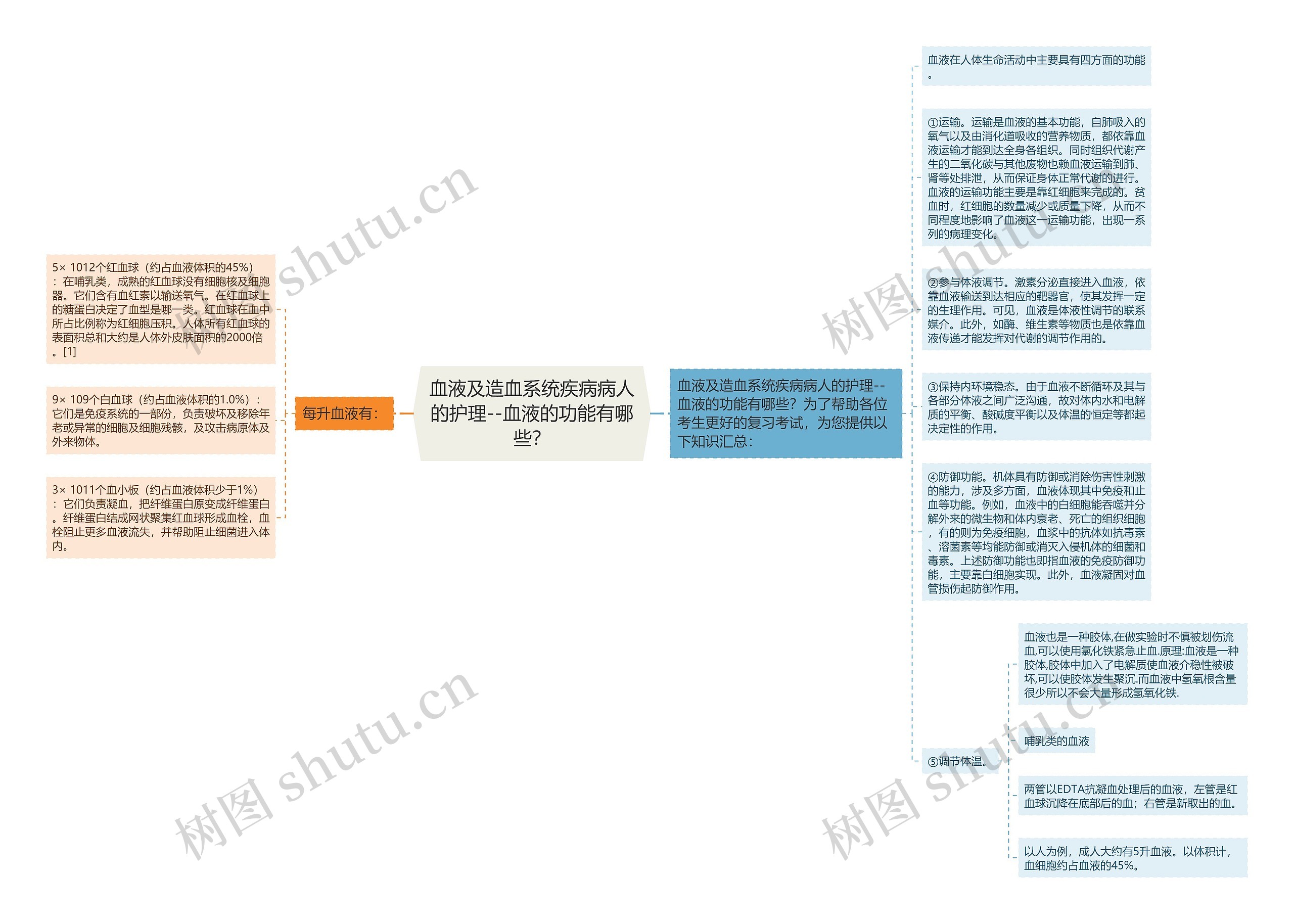 血液及造血系统疾病病人的护理--血液的功能有哪些？思维导图