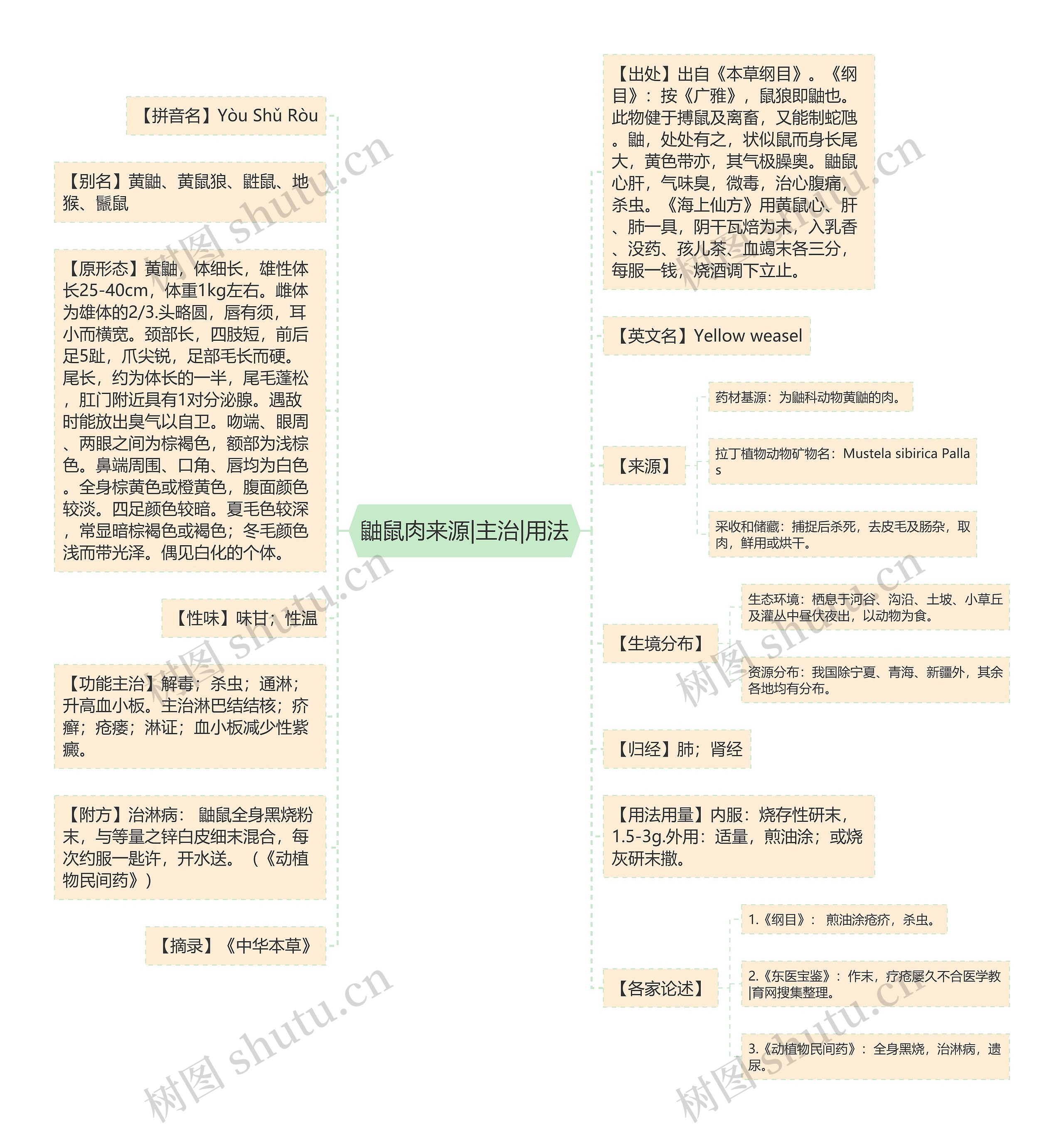 鼬鼠肉来源|主治|用法思维导图