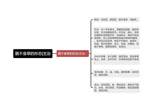 鹅不食草的形态|主治