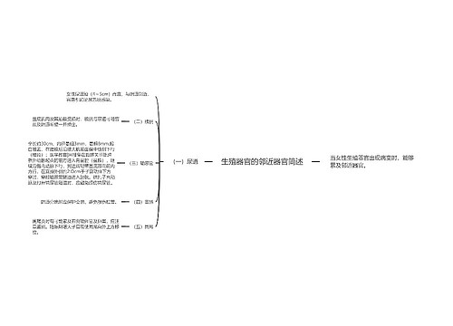 生殖器官的邻近器官简述