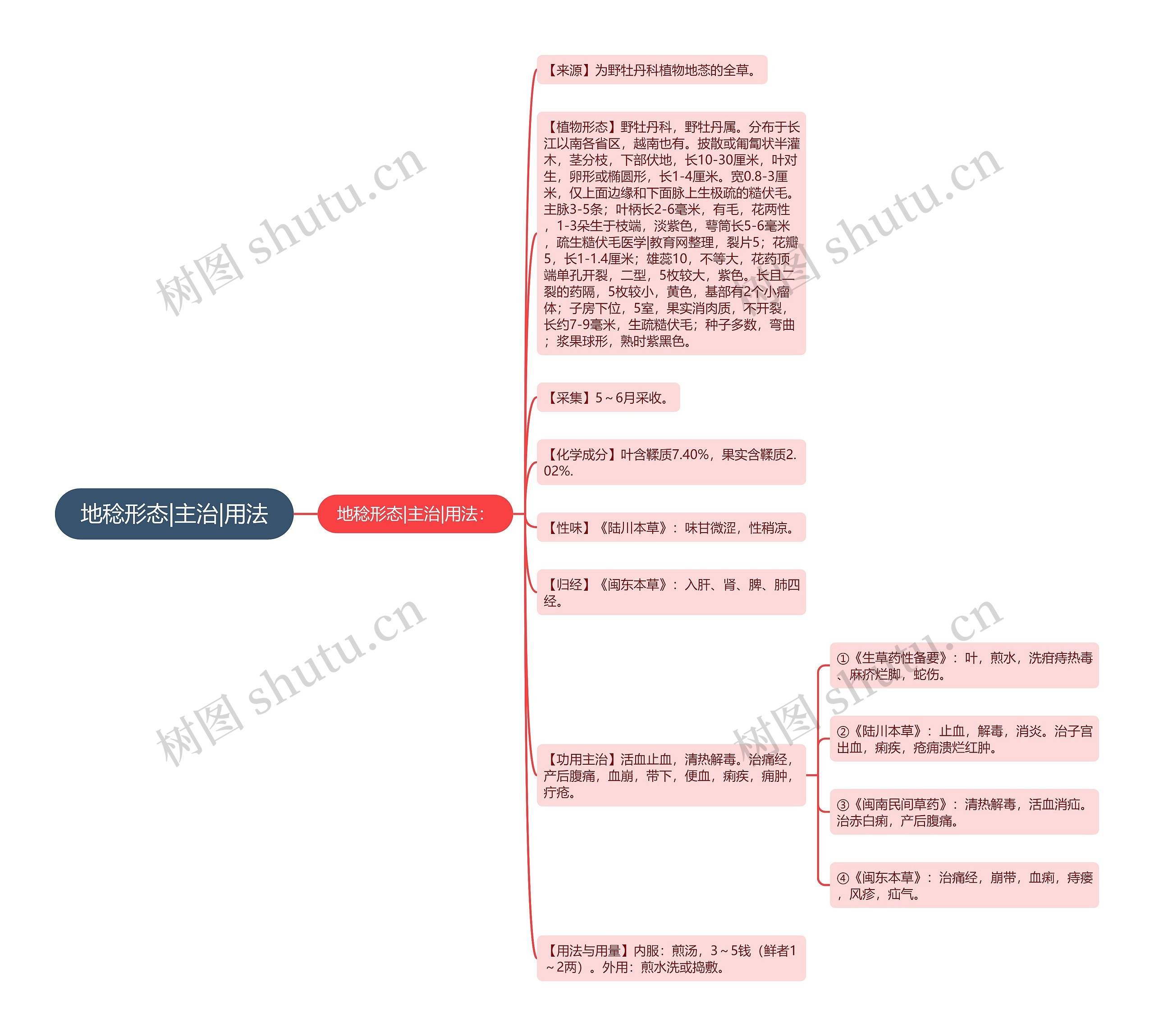 地稔形态|主治|用法思维导图