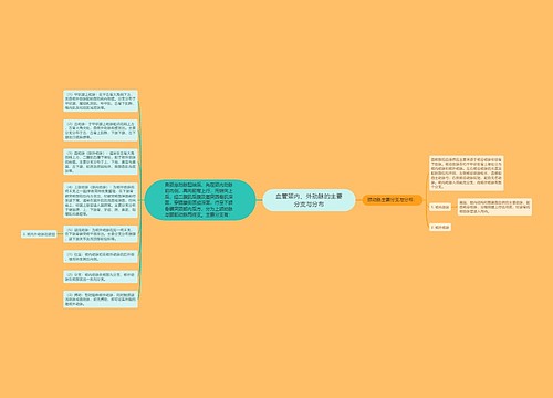 血管颈内、外动脉的主要分支与分布