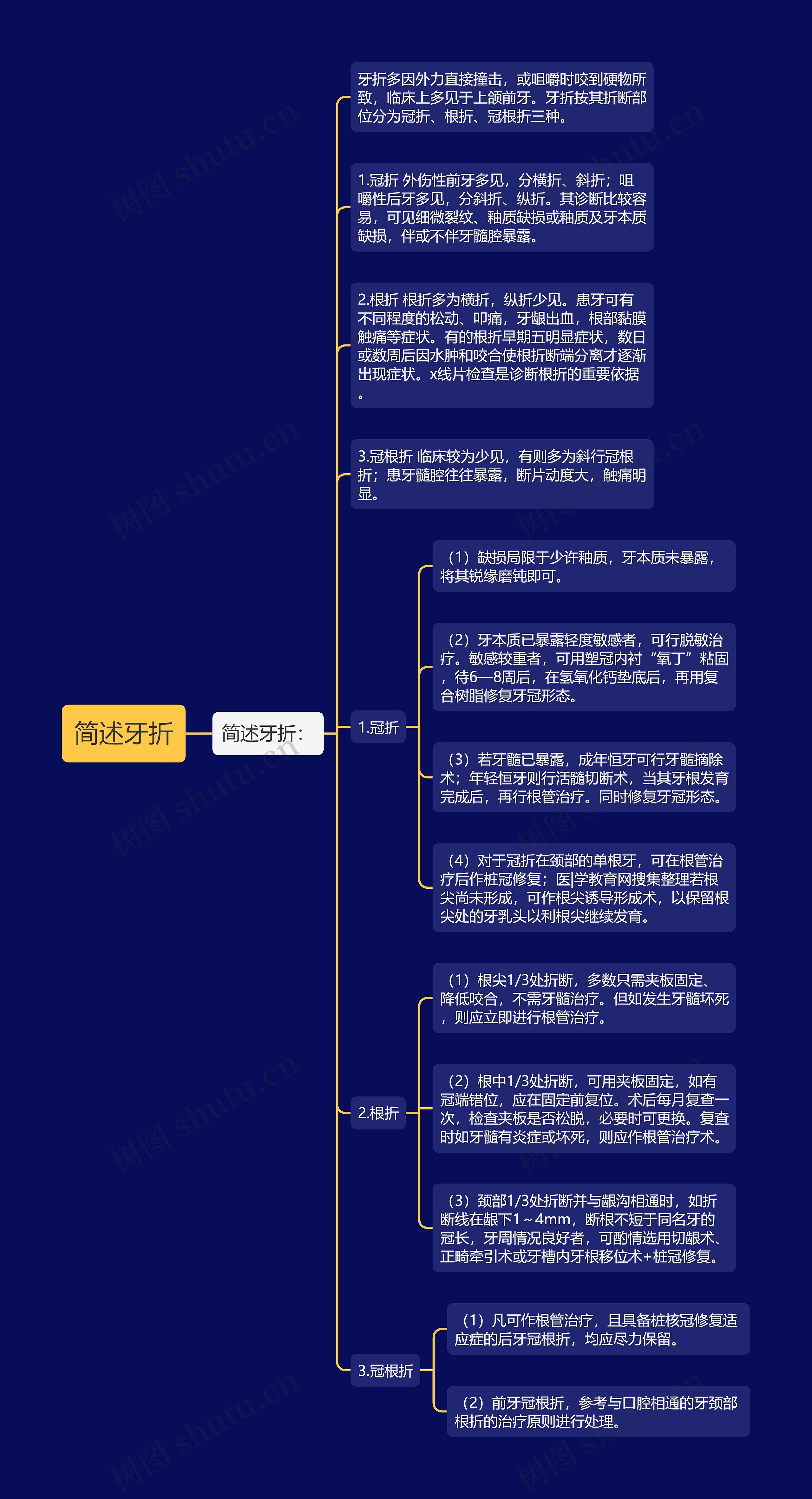 简述牙折