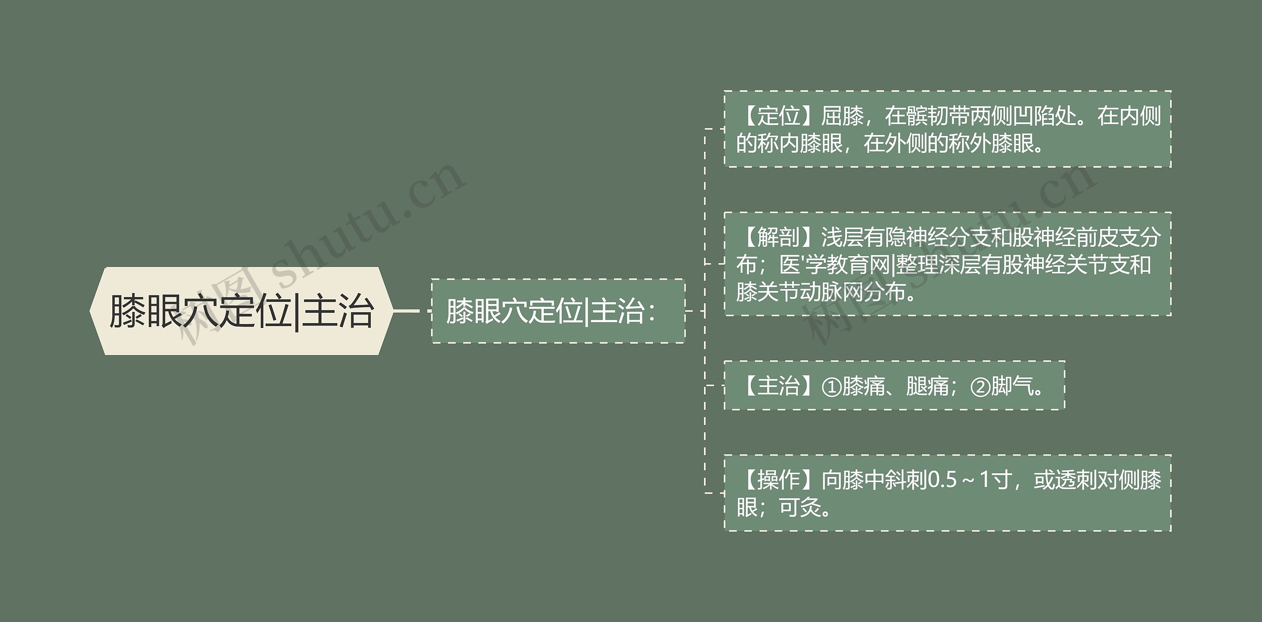 膝眼穴定位|主治思维导图