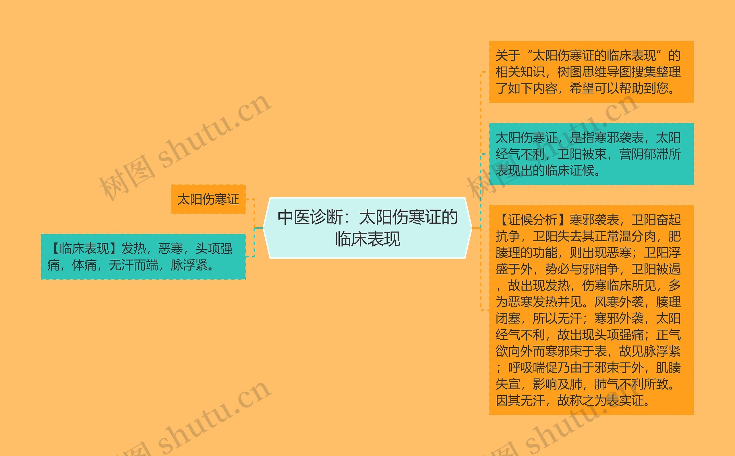 中医诊断：太阳伤寒证的临床表现思维导图