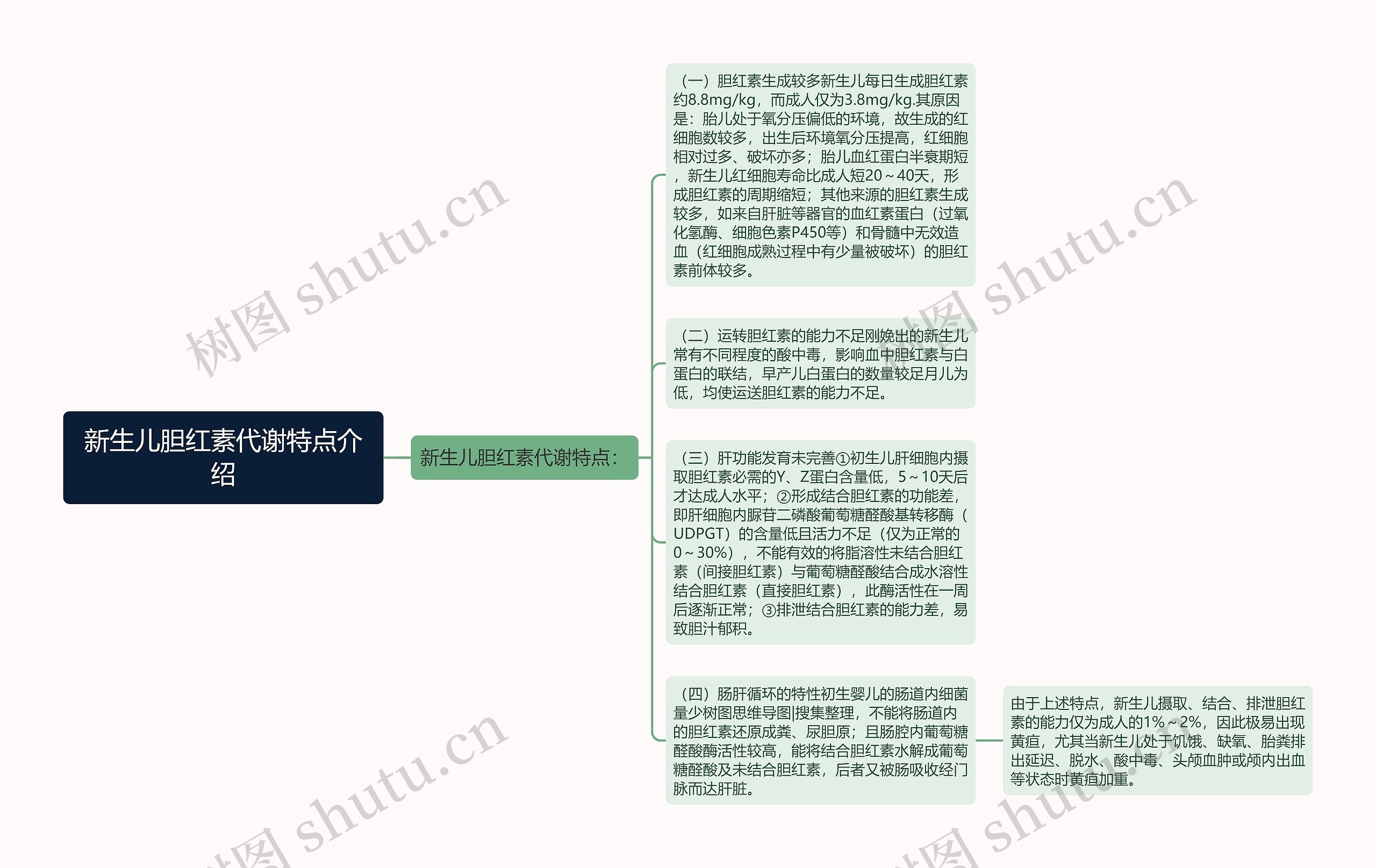 新生儿胆红素代谢特点介绍