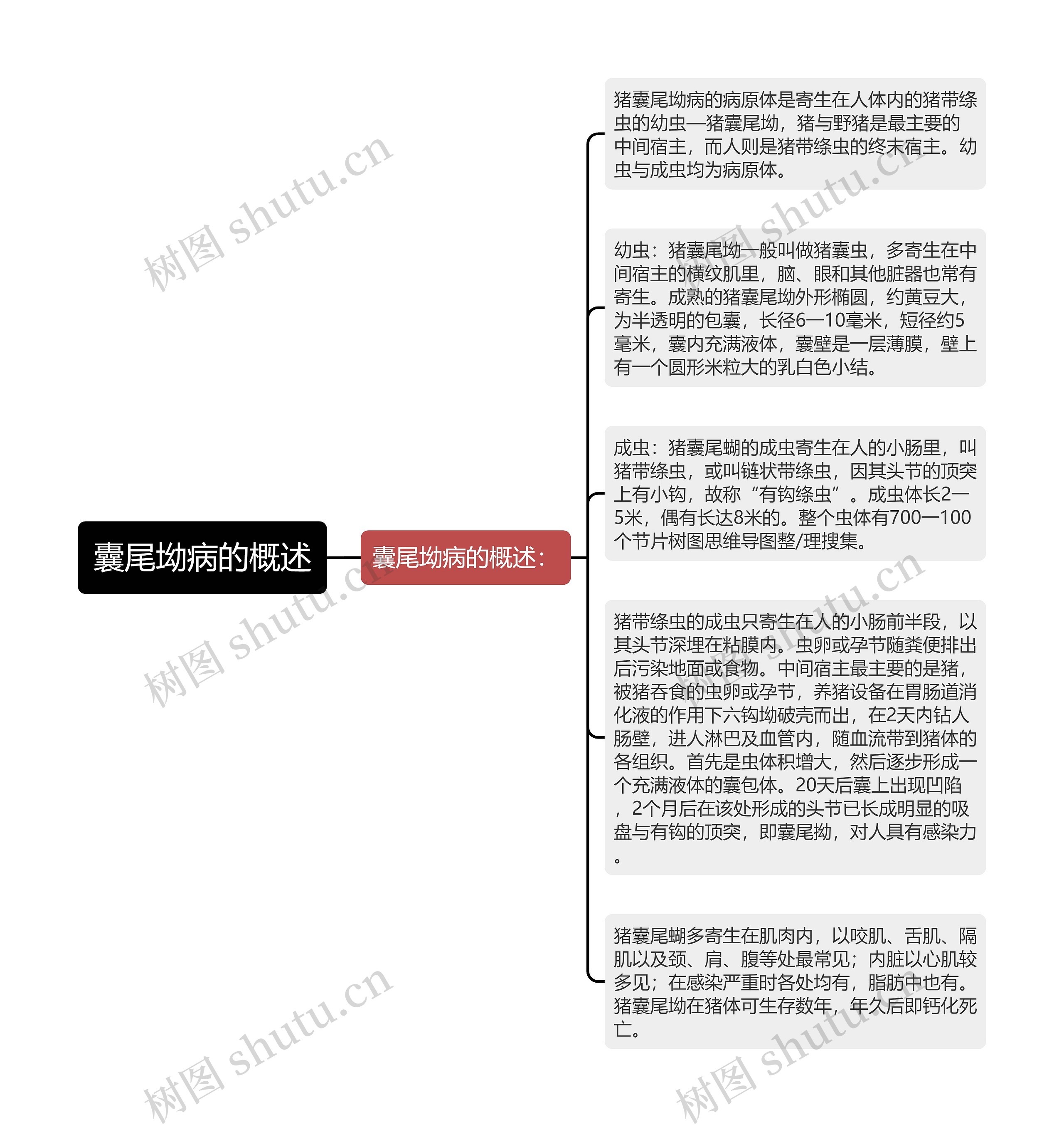 囊尾坳病的概述