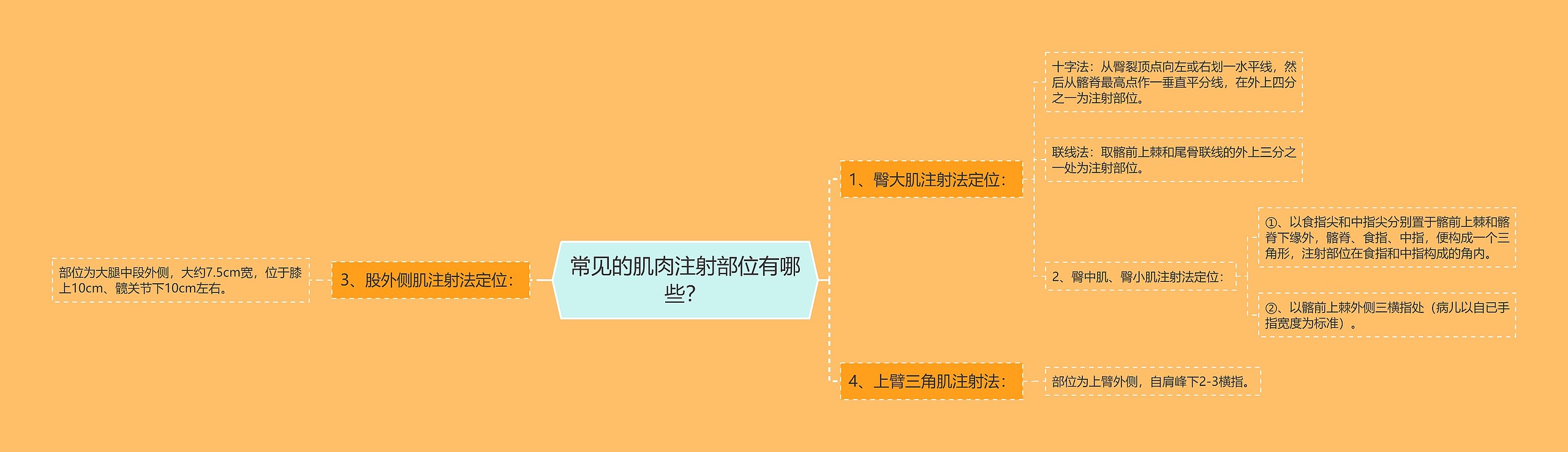 常见的肌肉注射部位有哪些？思维导图