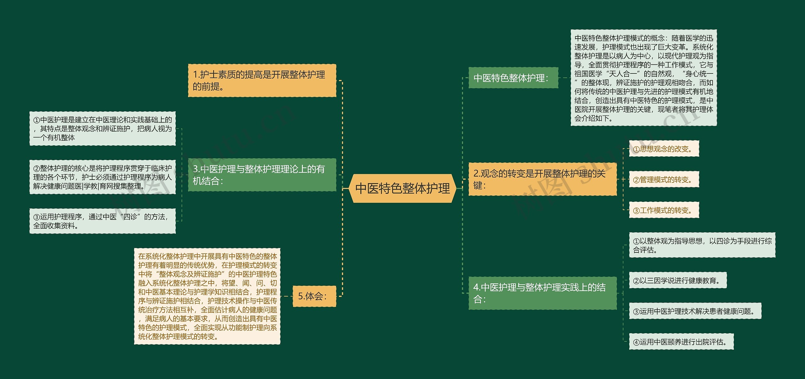 中医特色整体护理思维导图