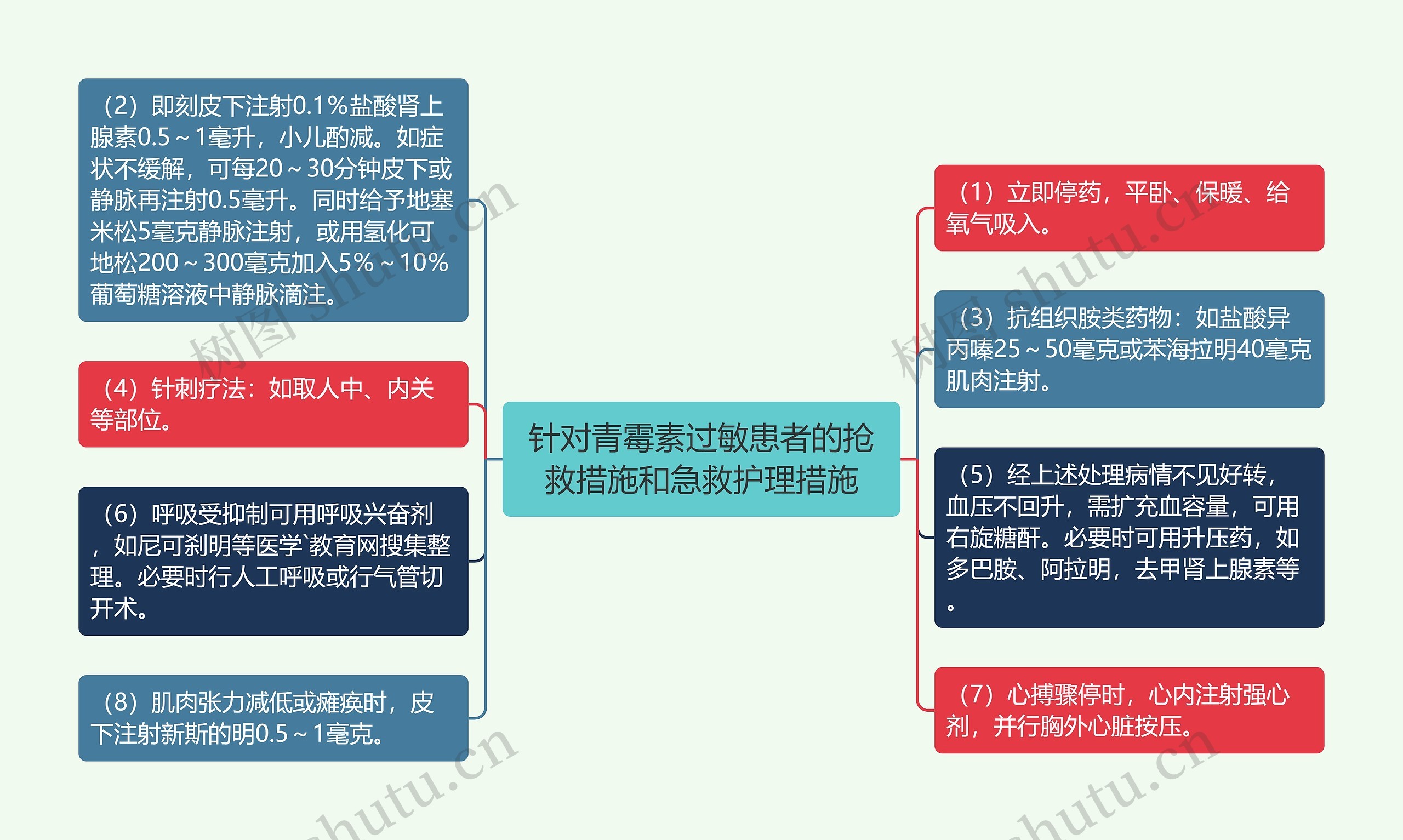 针对青霉素过敏患者的抢救措施和急救护理措施思维导图