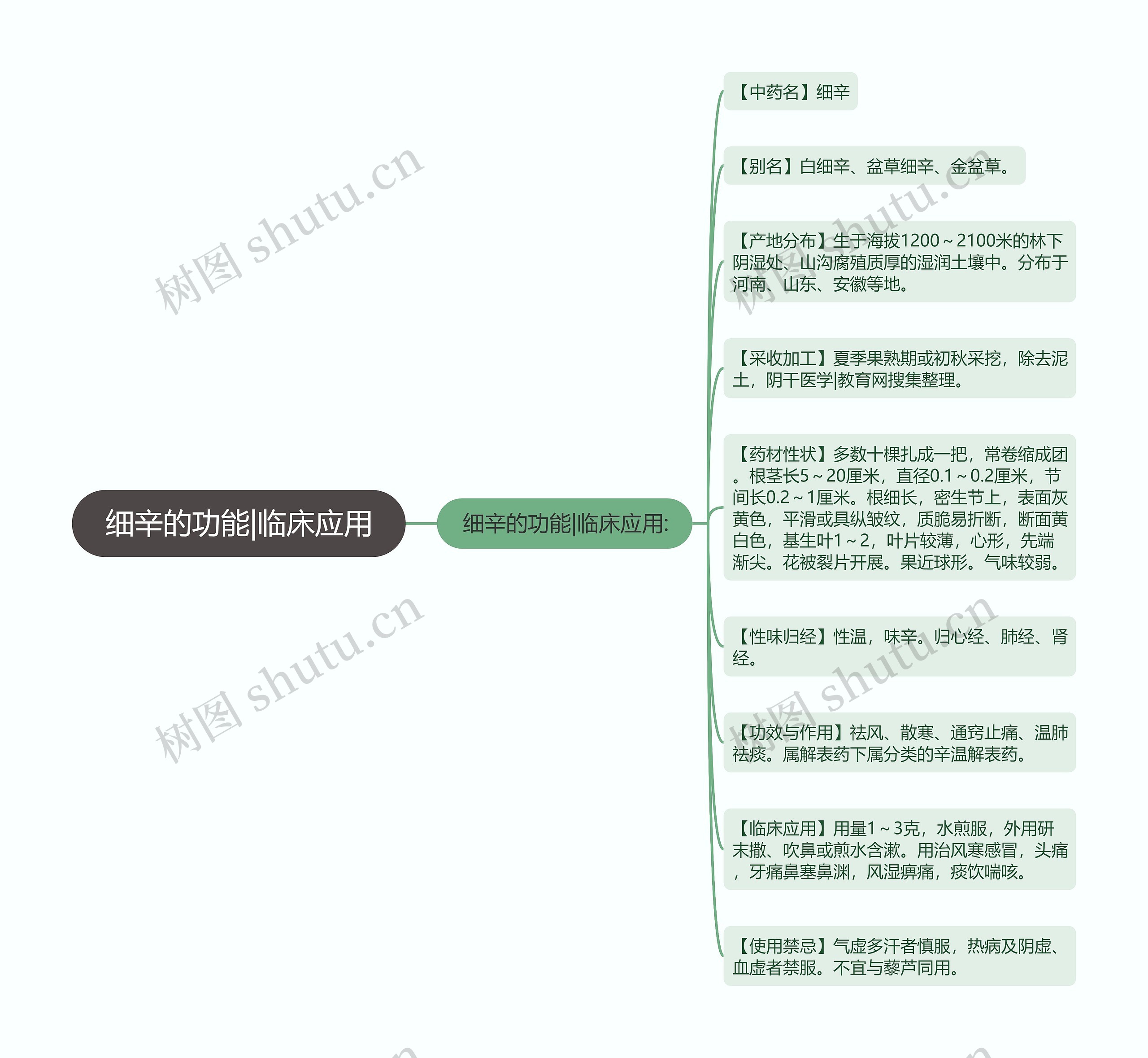 细辛的功能|临床应用