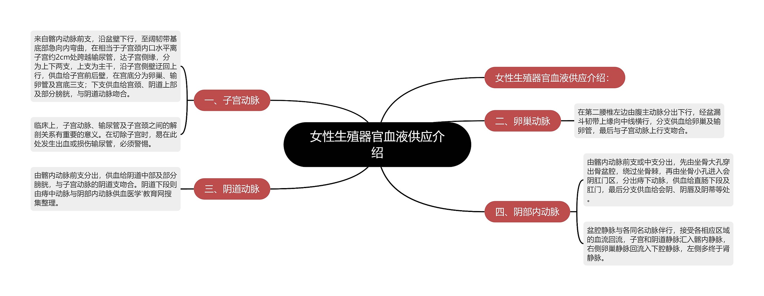 女性生殖器官血液供应介绍思维导图