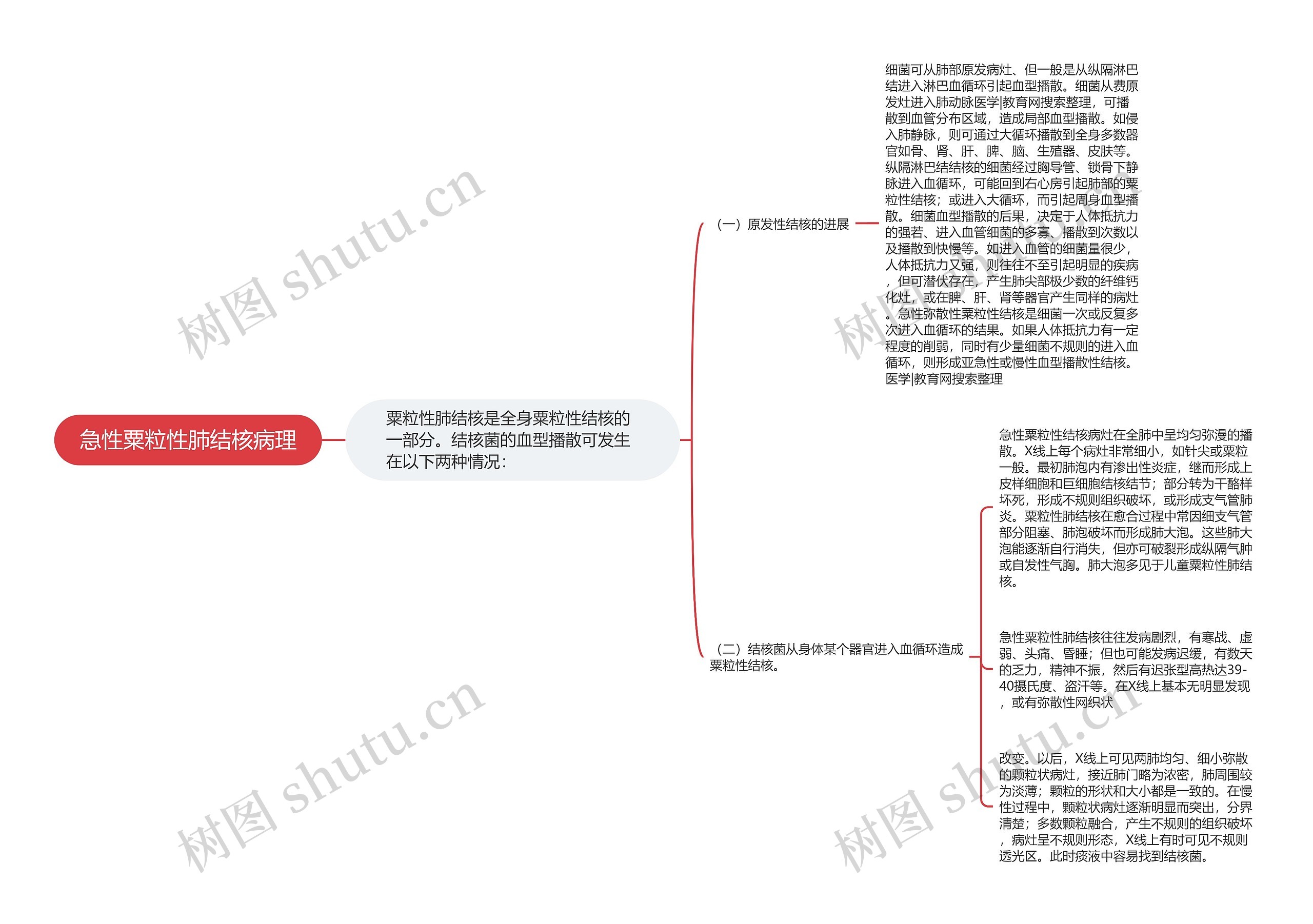 急性粟粒性肺结核病理