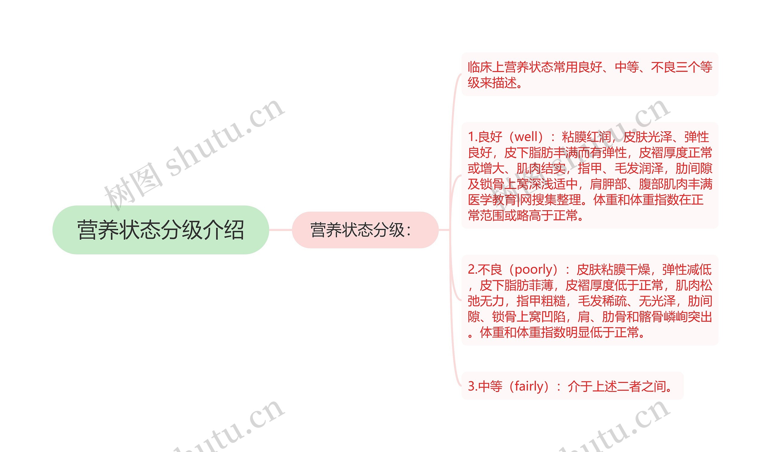 营养状态分级介绍思维导图