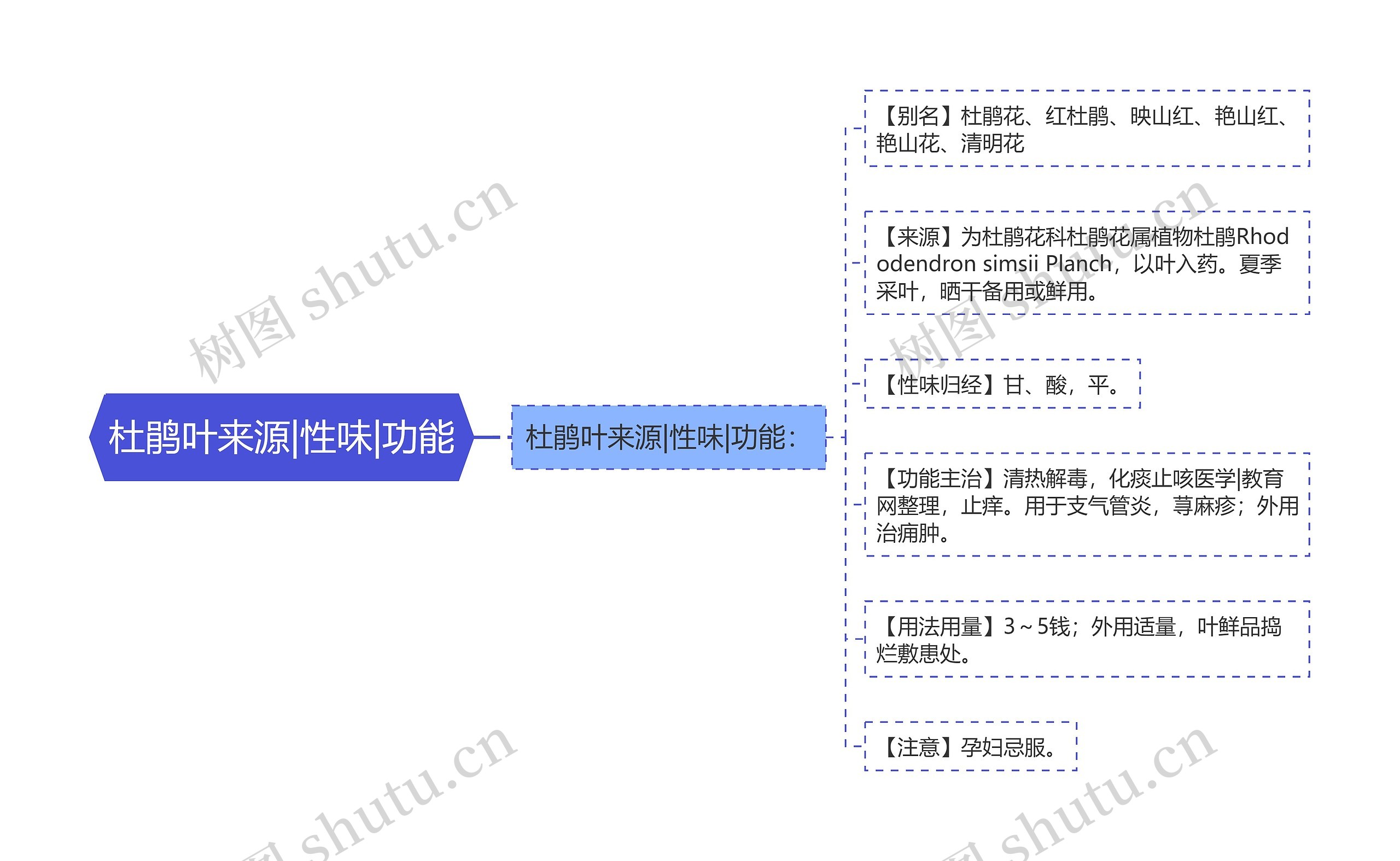 杜鹃叶来源|性味|功能思维导图